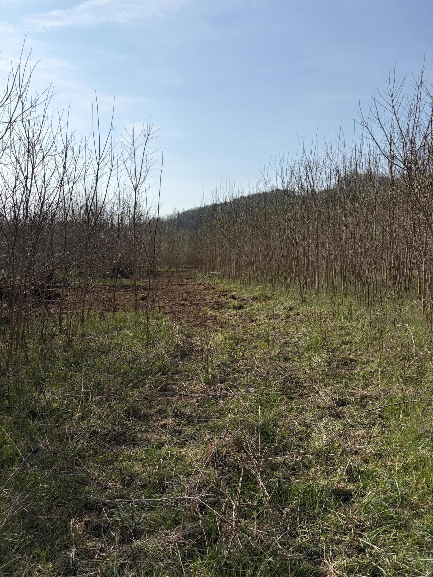 603 State Hwy 1003 Property Photo 20