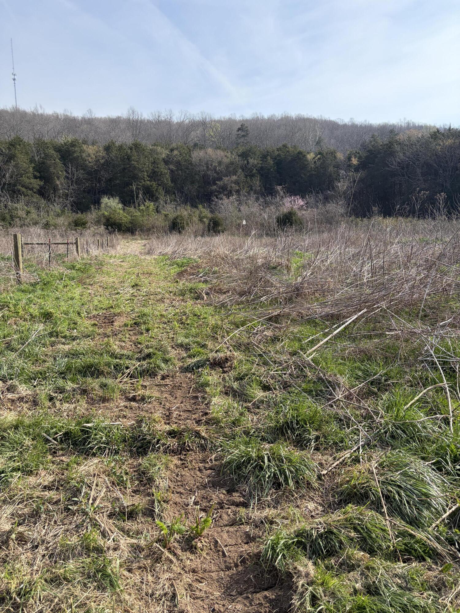 603 State Hwy 1003 Property Photo 25