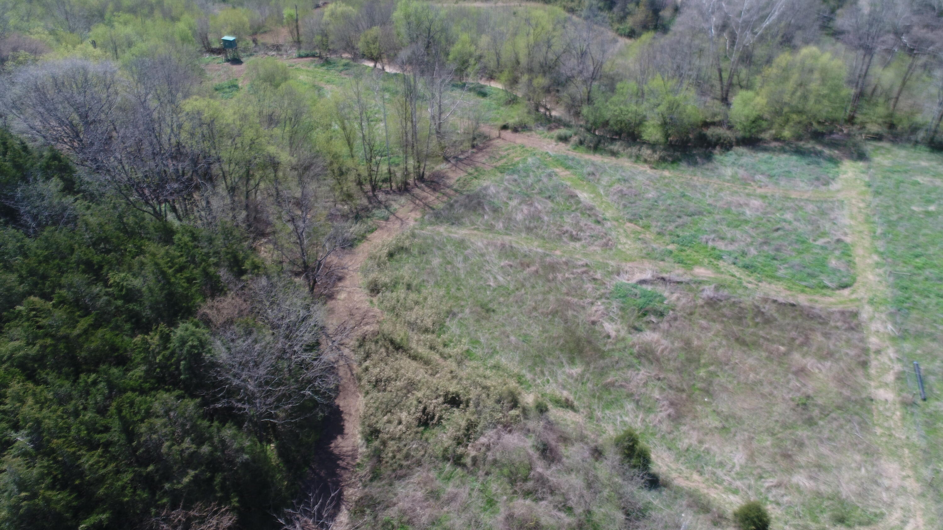 603 State Hwy 1003 Property Photo 35