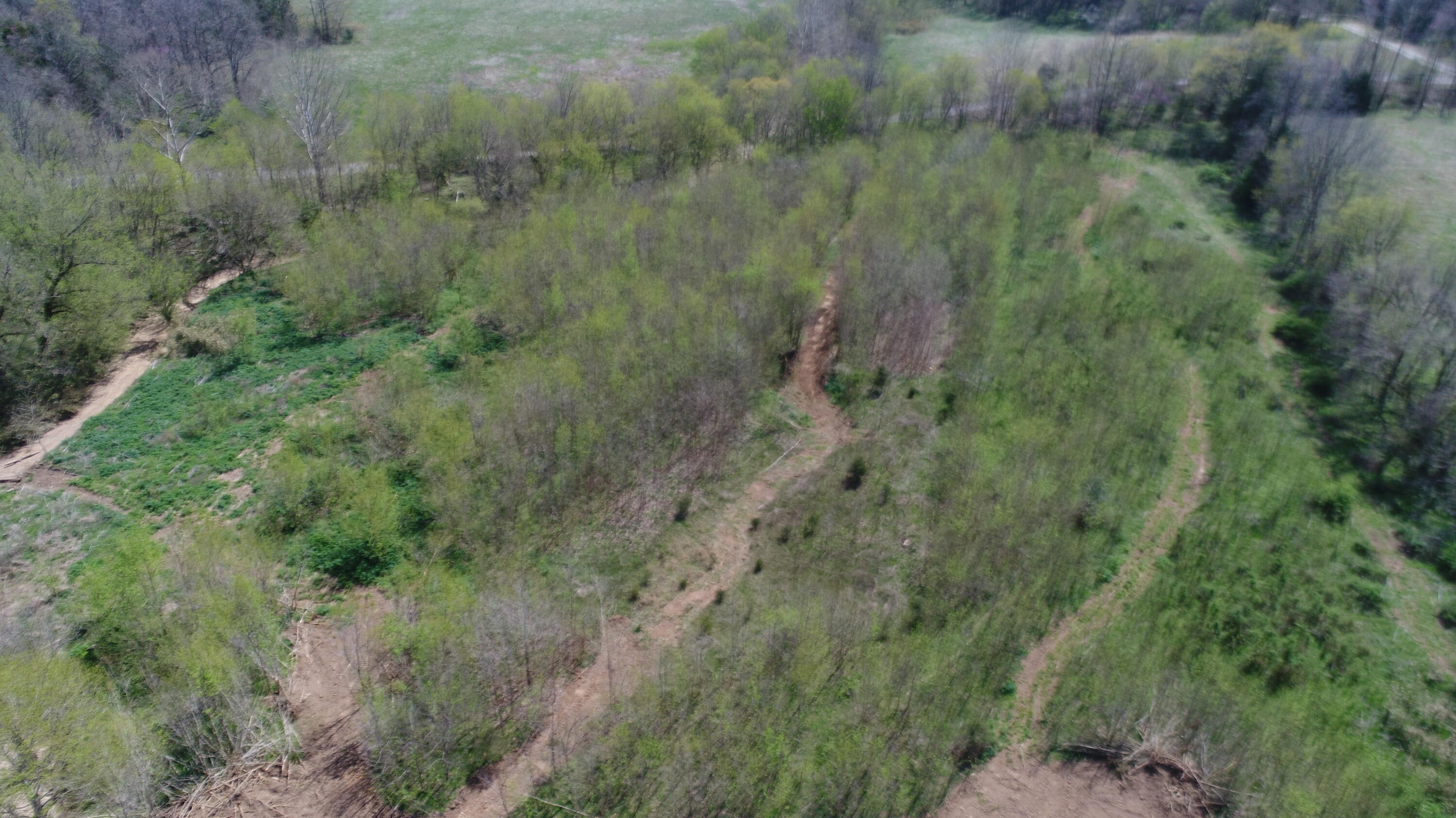 603 State Hwy 1003 Property Photo 40