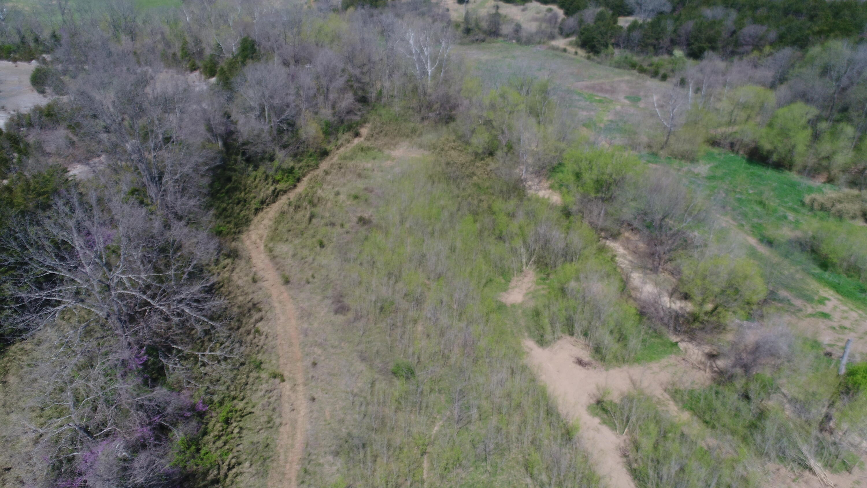 603 State Hwy 1003 Property Photo 45