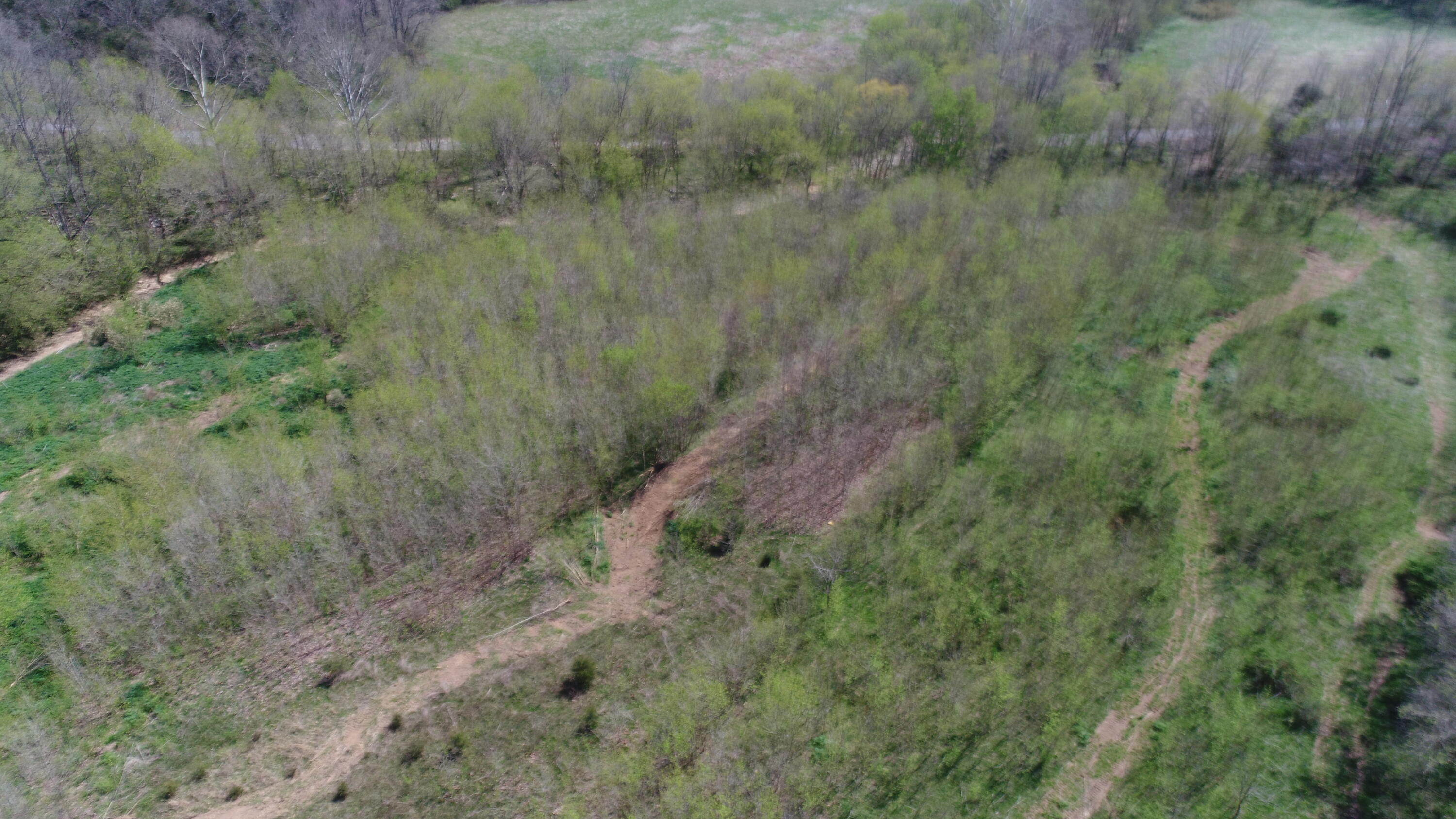 603 State Hwy 1003 Property Photo 46