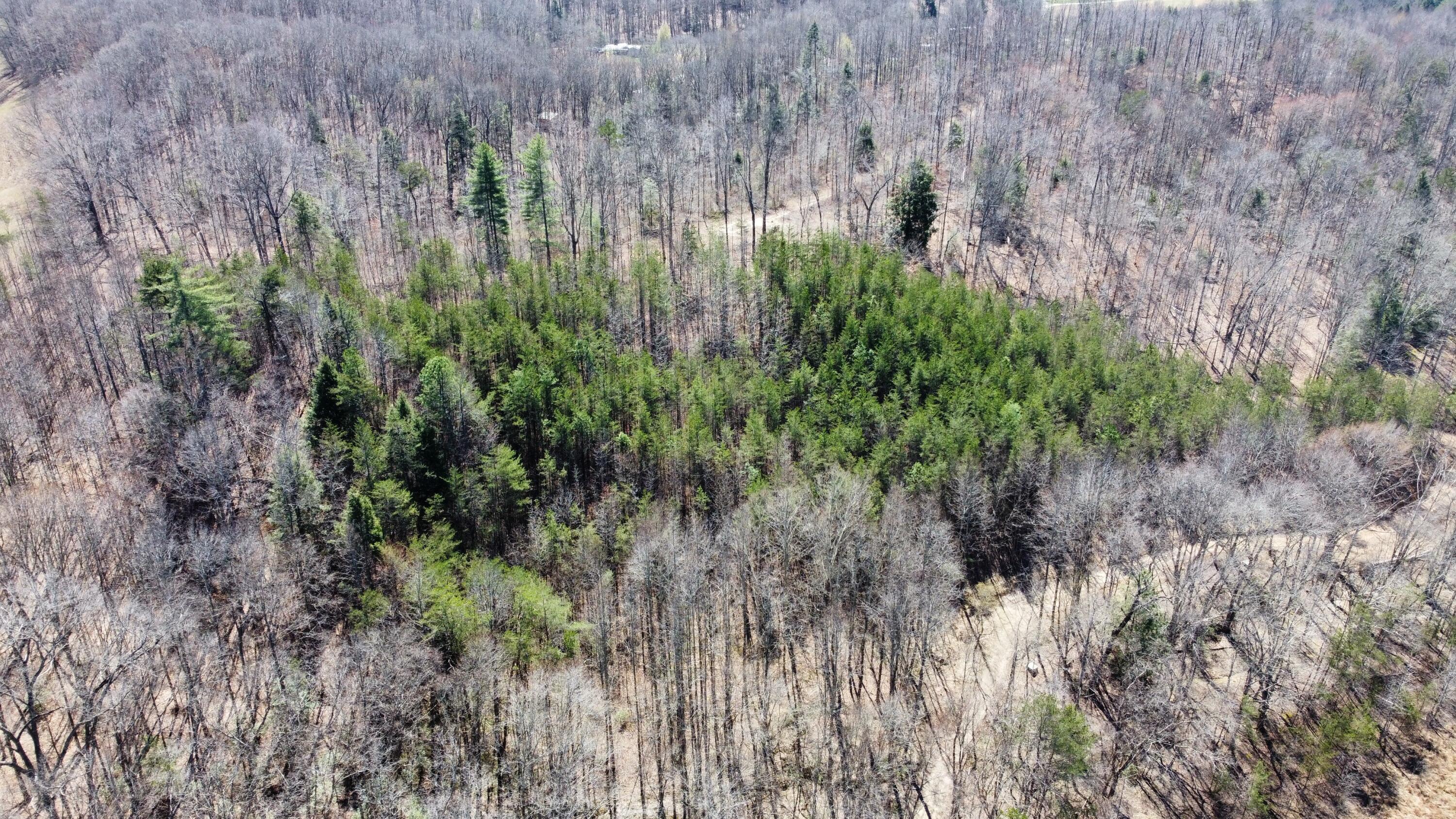 Lot #15 Hopewell Hawks Point Road Property Photo 2