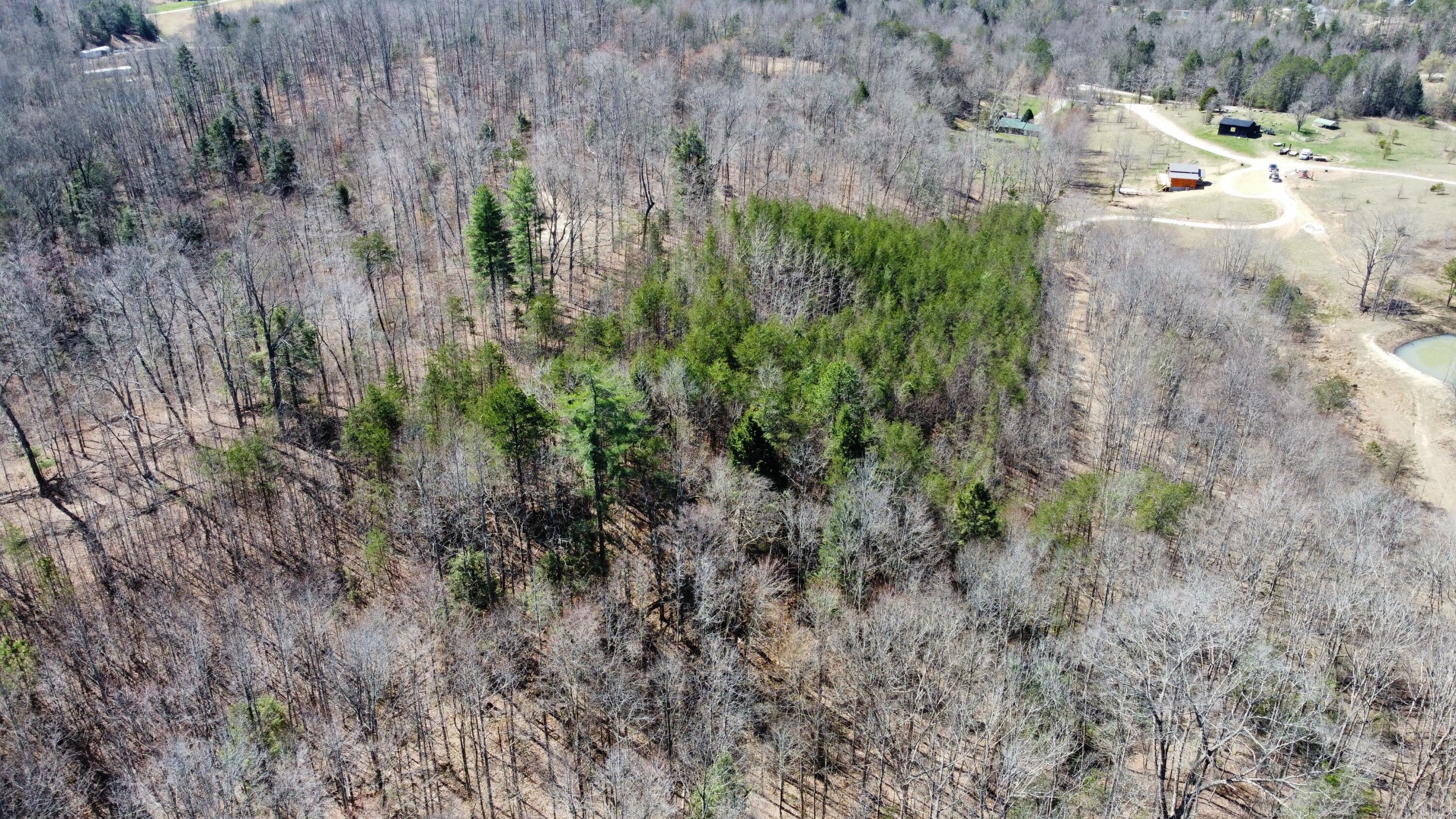 Lot #15 Hopewell Hawks Point Road Property Photo 3