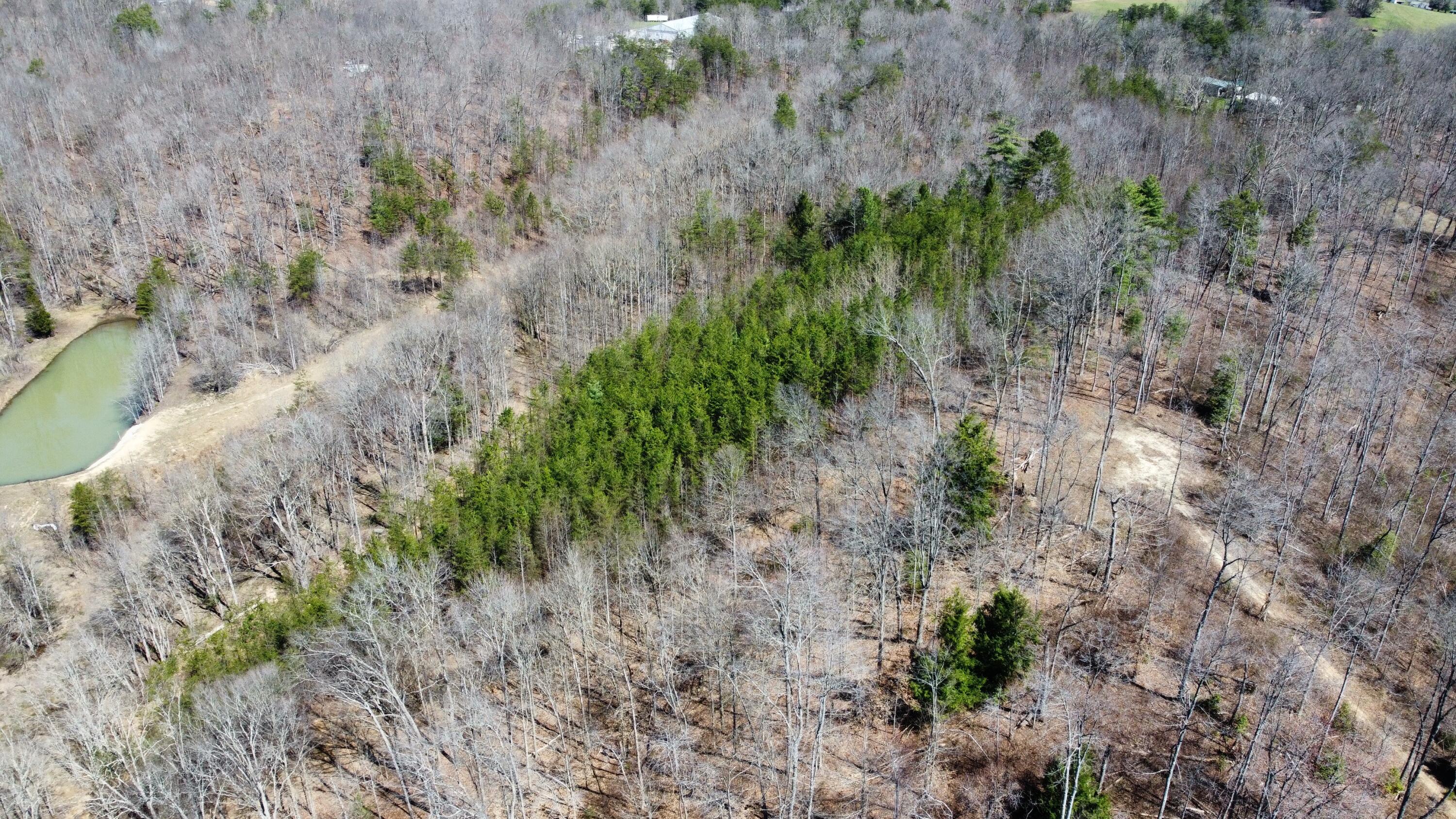 Lot #15 Hopewell Hawks Point Road Property Photo 6