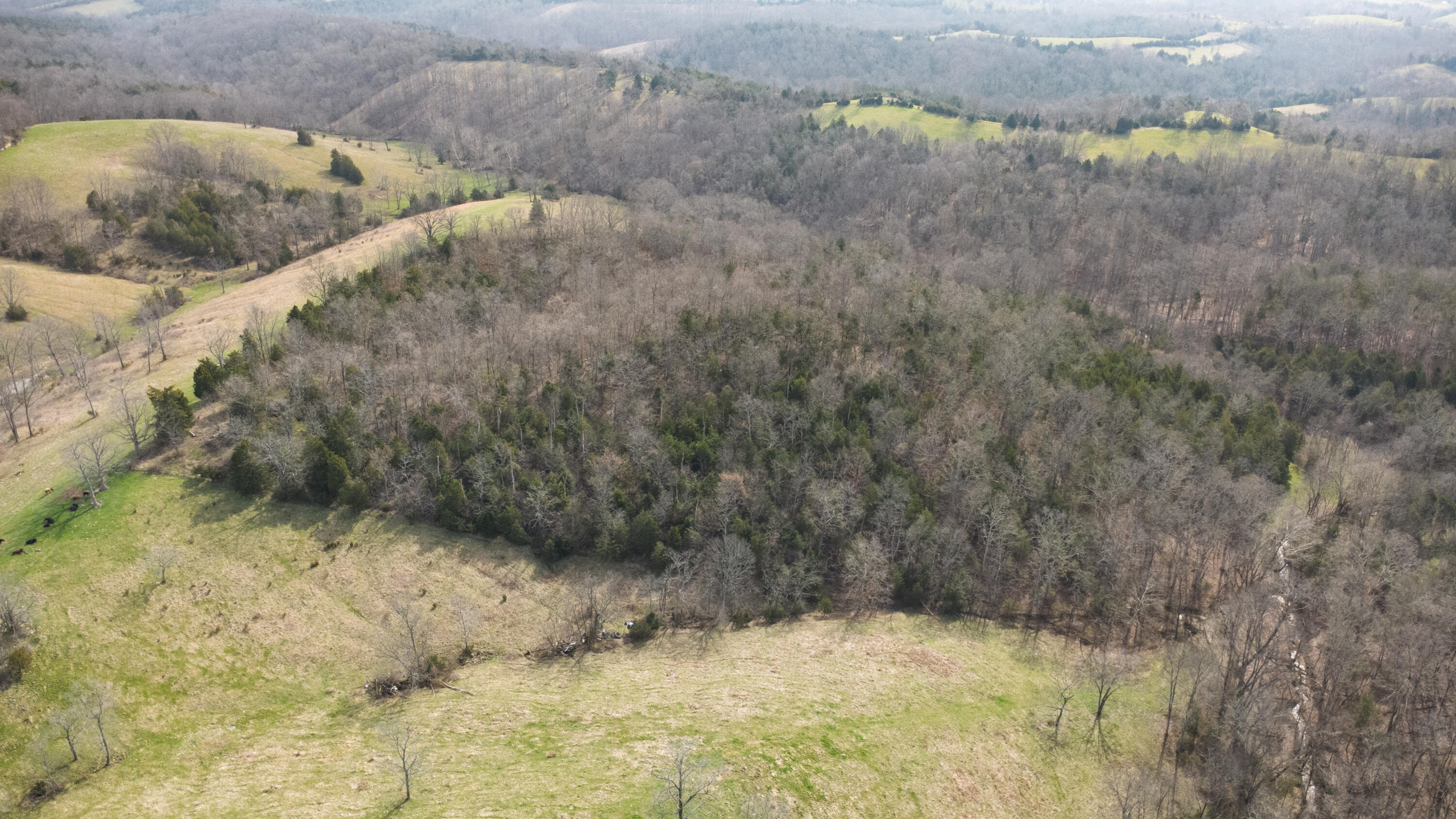 9352 Dixie Highway Property Photo 46