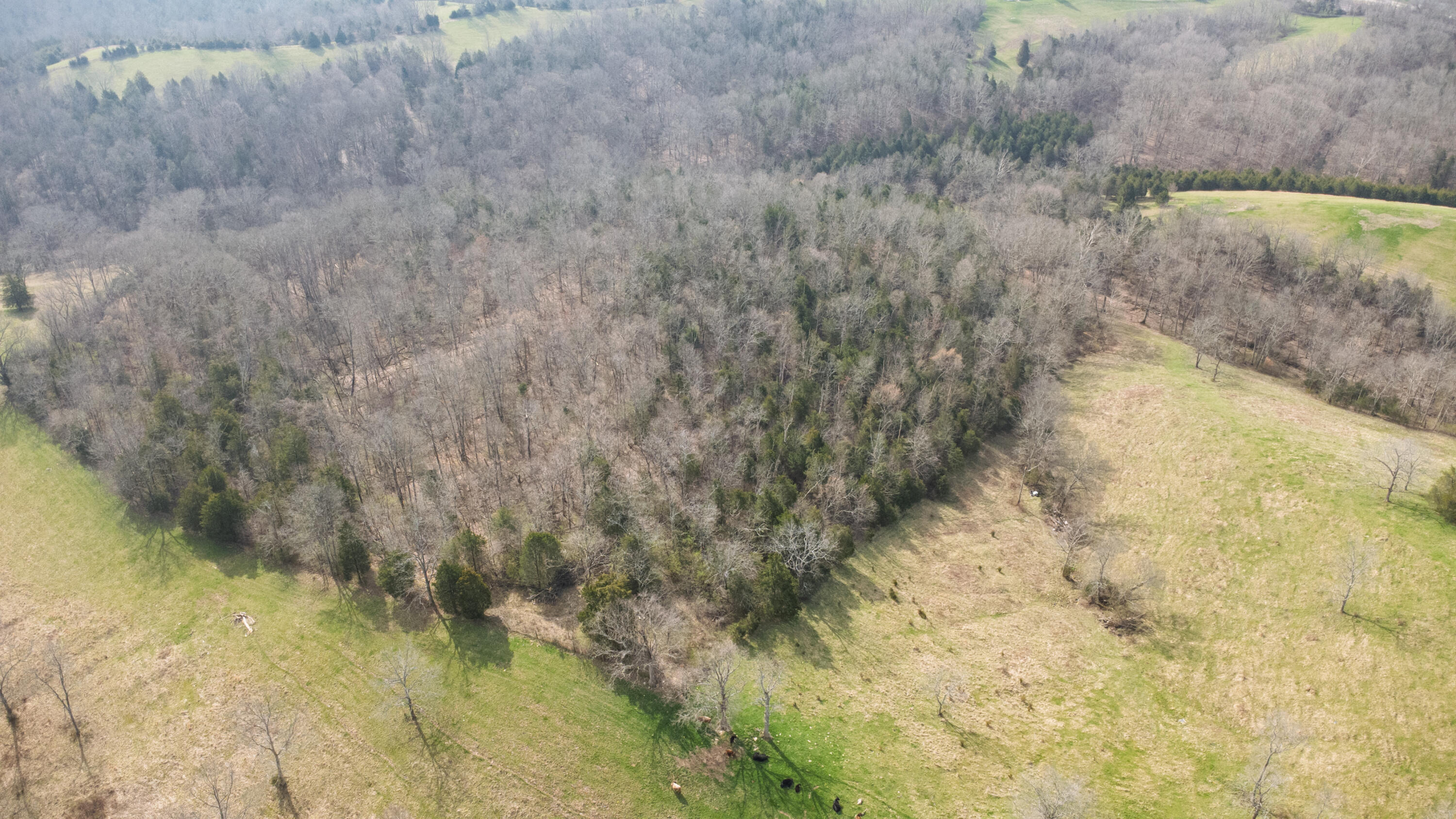 9352 Dixie Highway Property Photo 62