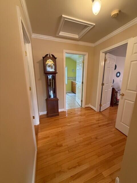 973 Levy Road Property Photo 21