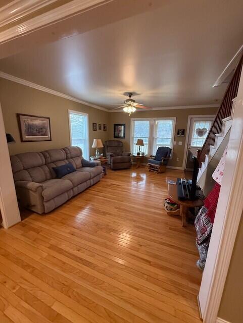 973 Levy Road Property Photo 22