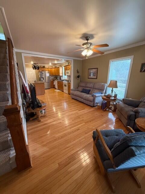 973 Levy Road Property Photo 23