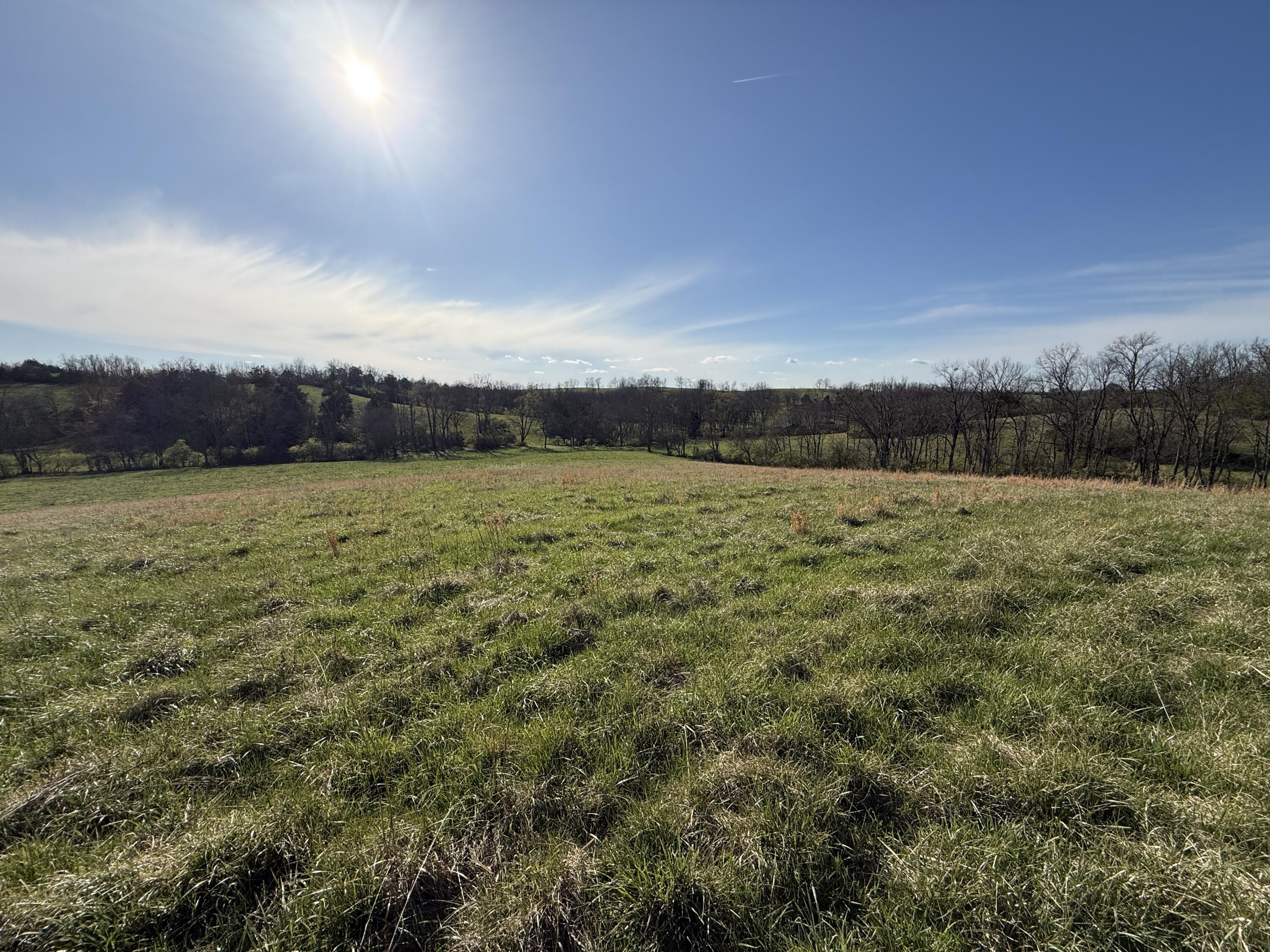 973 Levy Road Property Photo 45