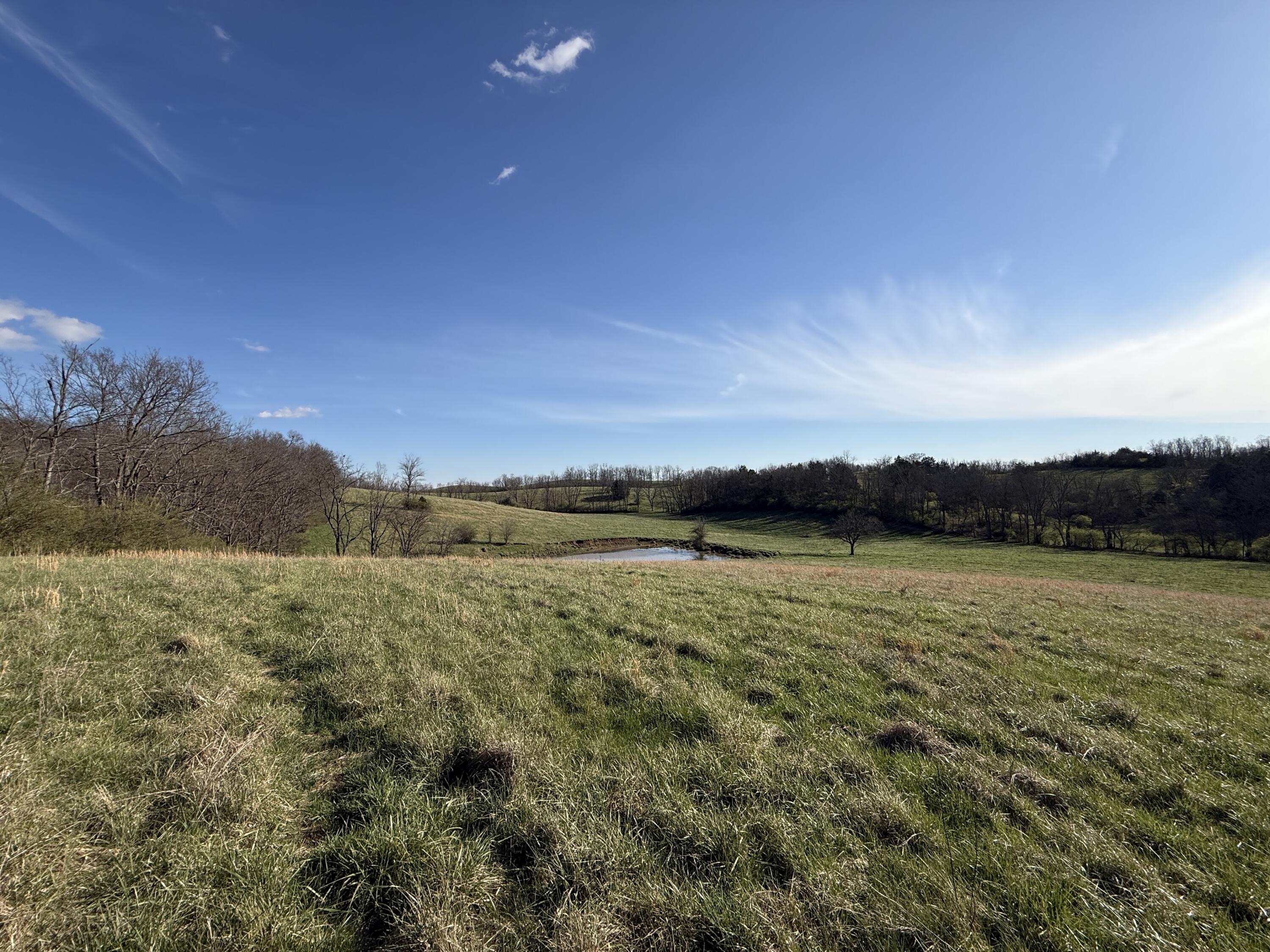 973 Levy Road Property Photo 46