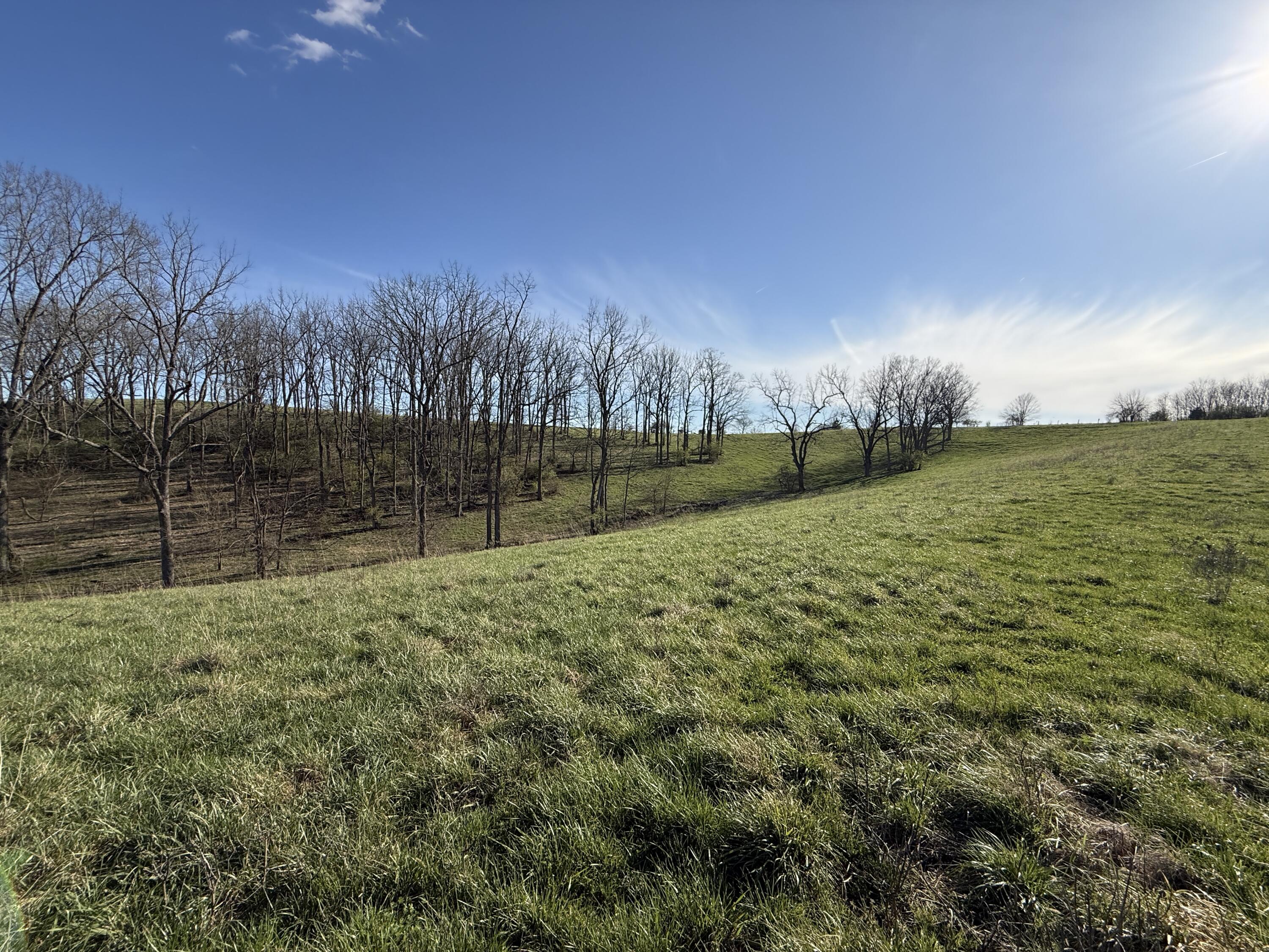 973 Levy Road Property Photo 47