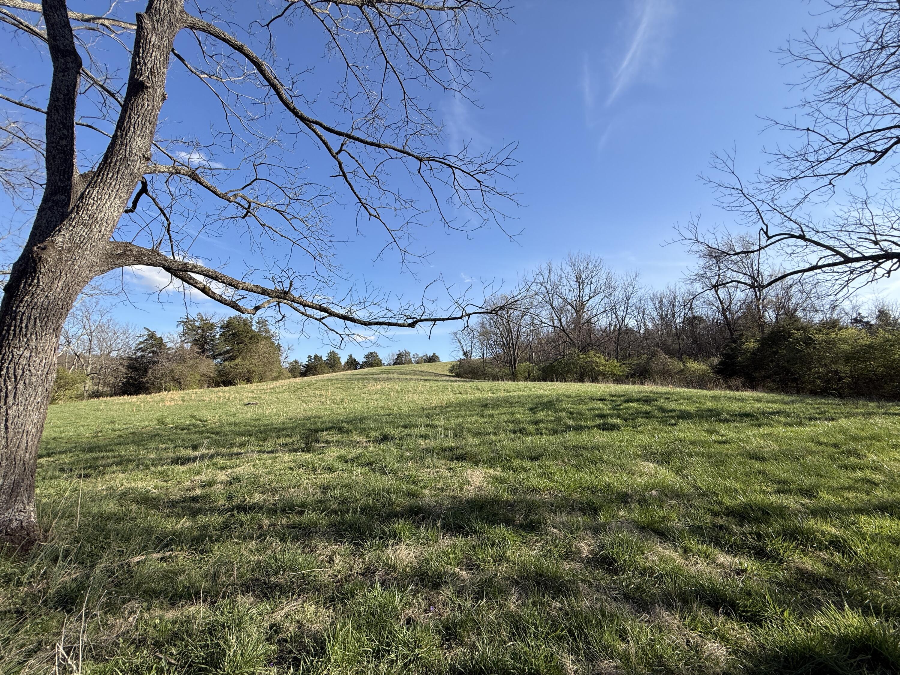 973 Levy Road Property Photo 49