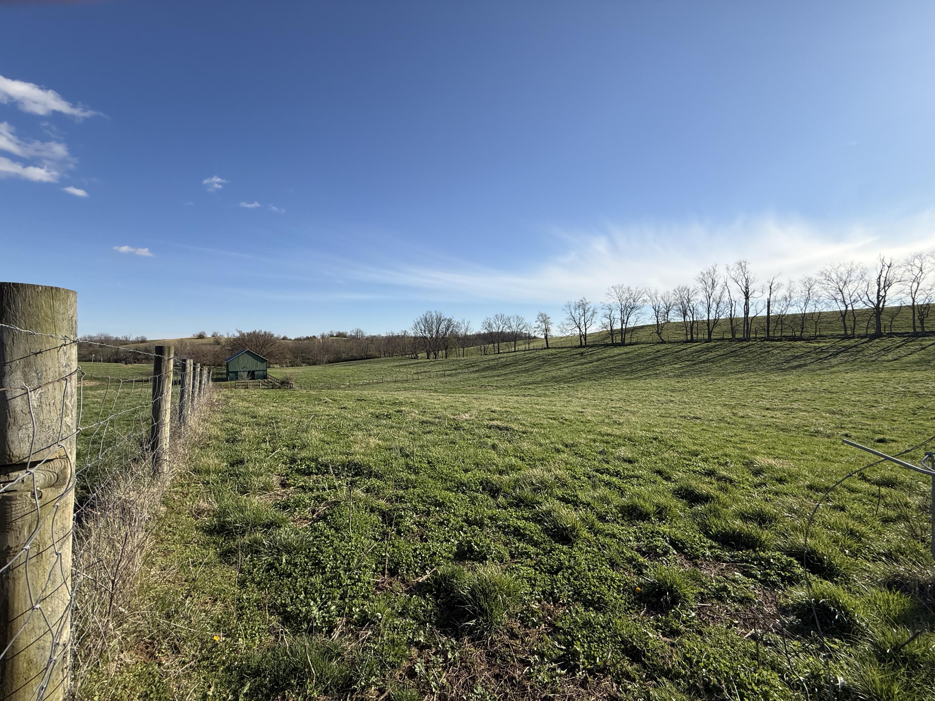 973 Levy Road Property Photo 55