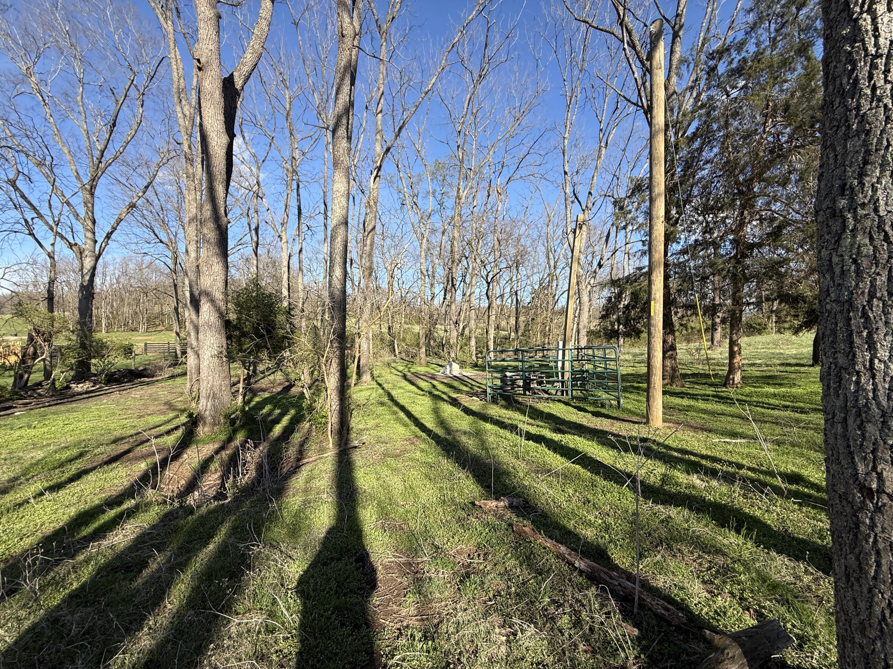 973 Levy Road Property Photo 56