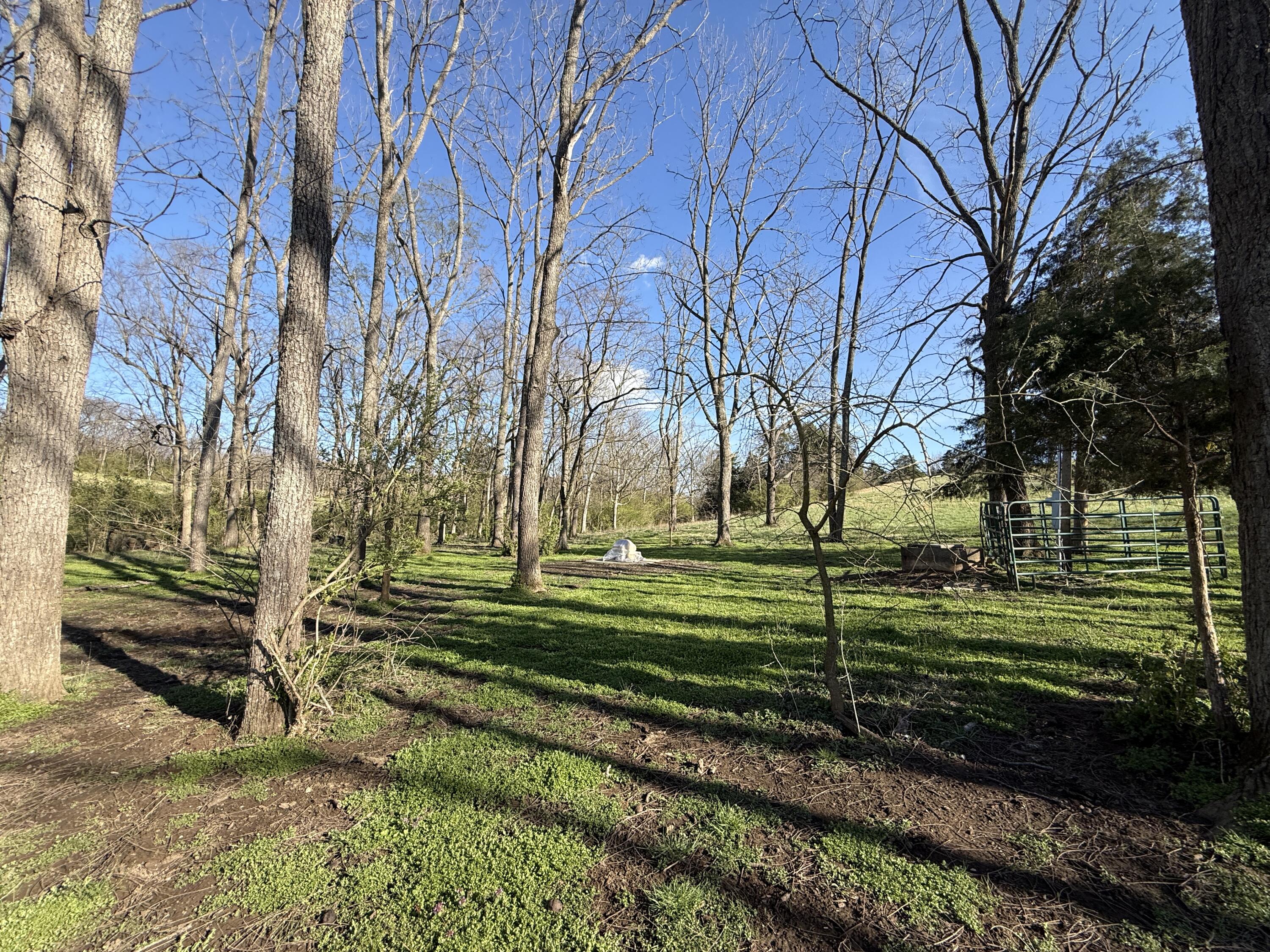 973 Levy Road Property Photo 58
