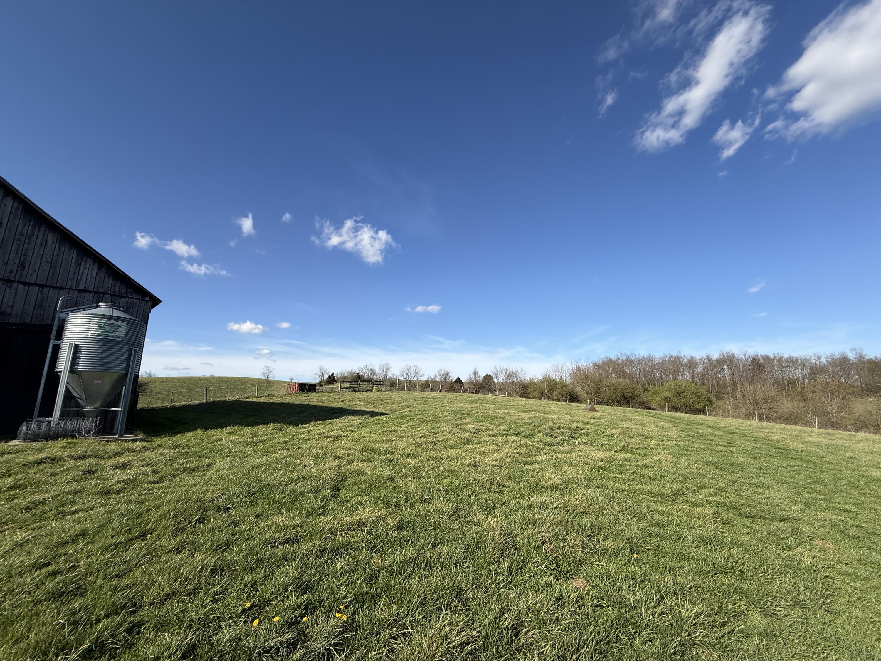 973 Levy Road Property Photo 80