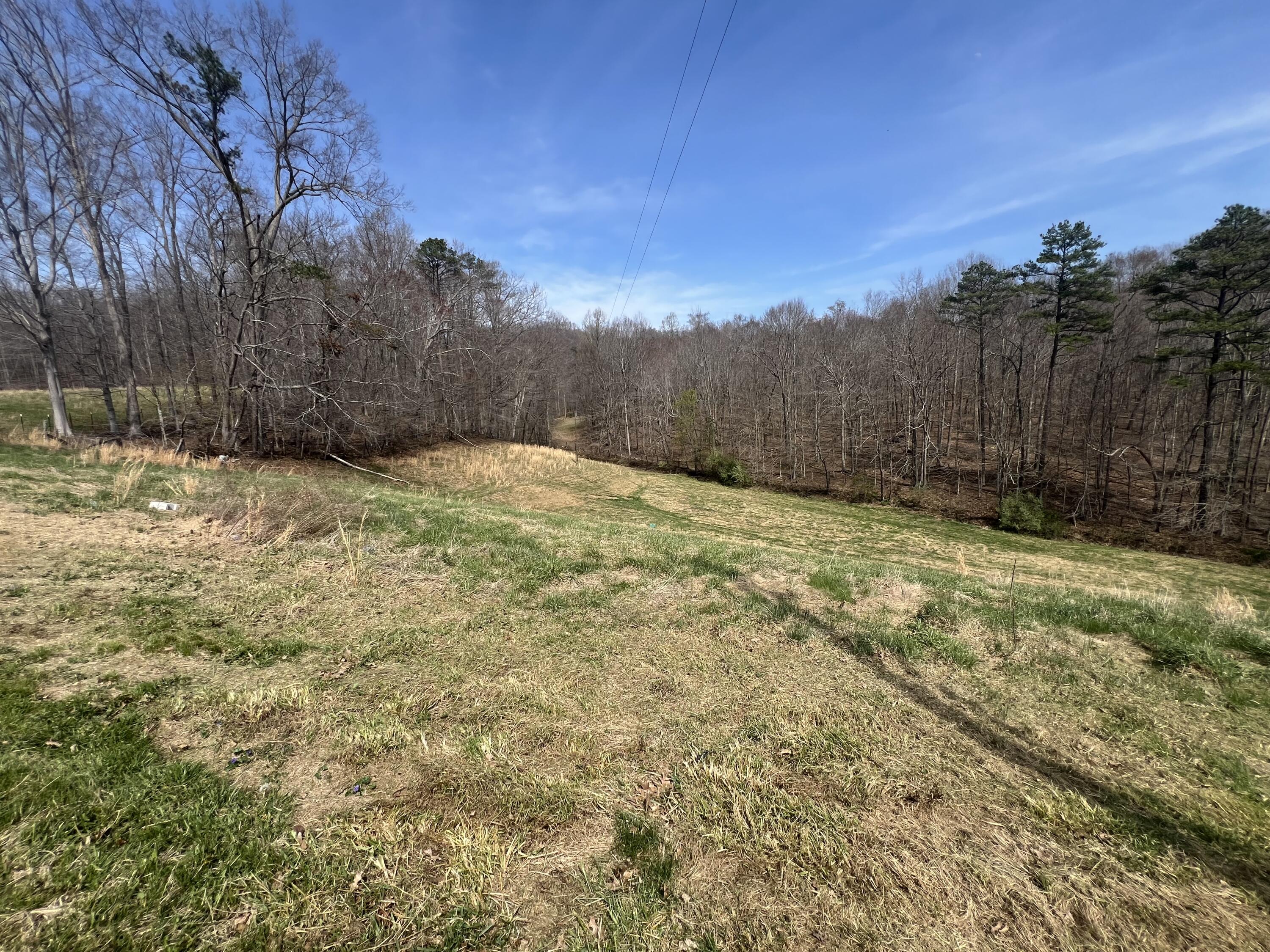 447 Arkle Road Property Photo 17