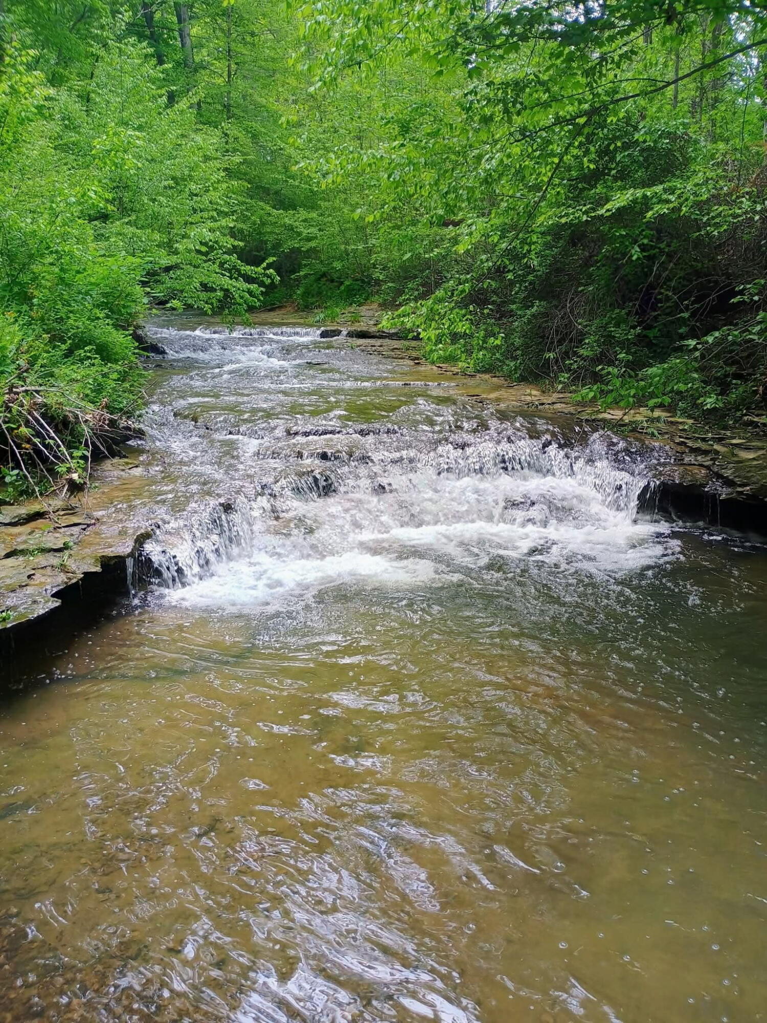 495 Clear Fork Branch Road Property Photo 1