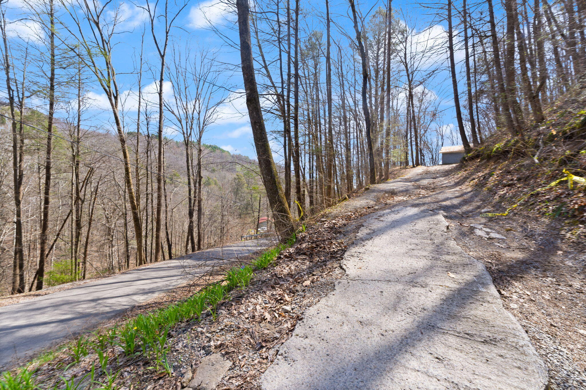 1197 Beans Fork Road Property Photo 3