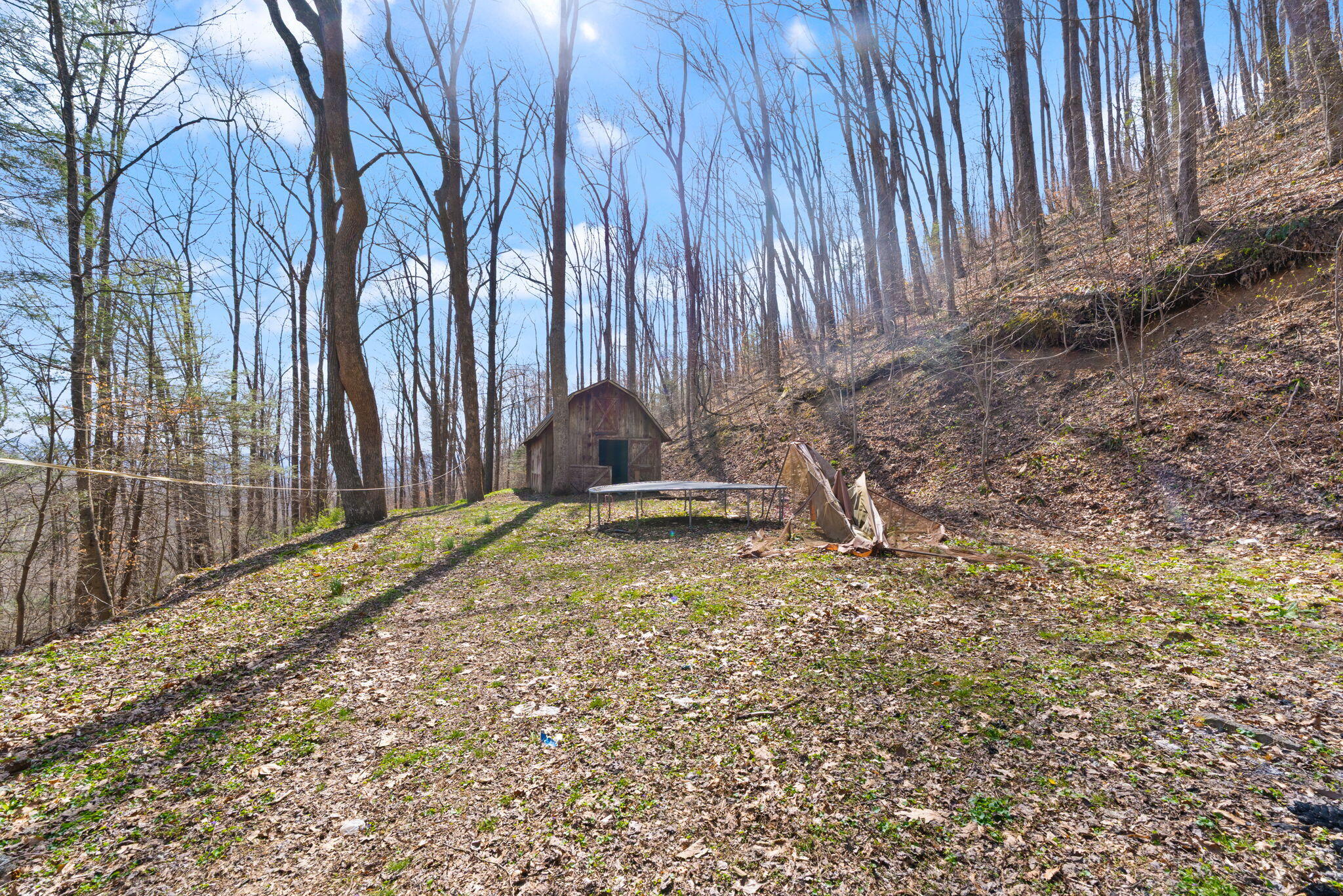 1197 Beans Fork Road Property Photo 8