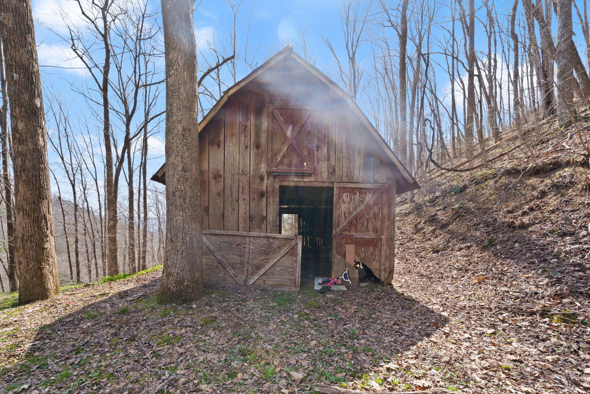 1197 Beans Fork Road Property Photo 9