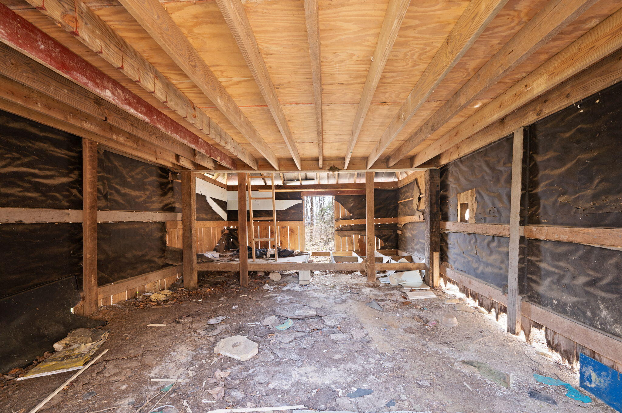 1197 Beans Fork Road Property Photo 10