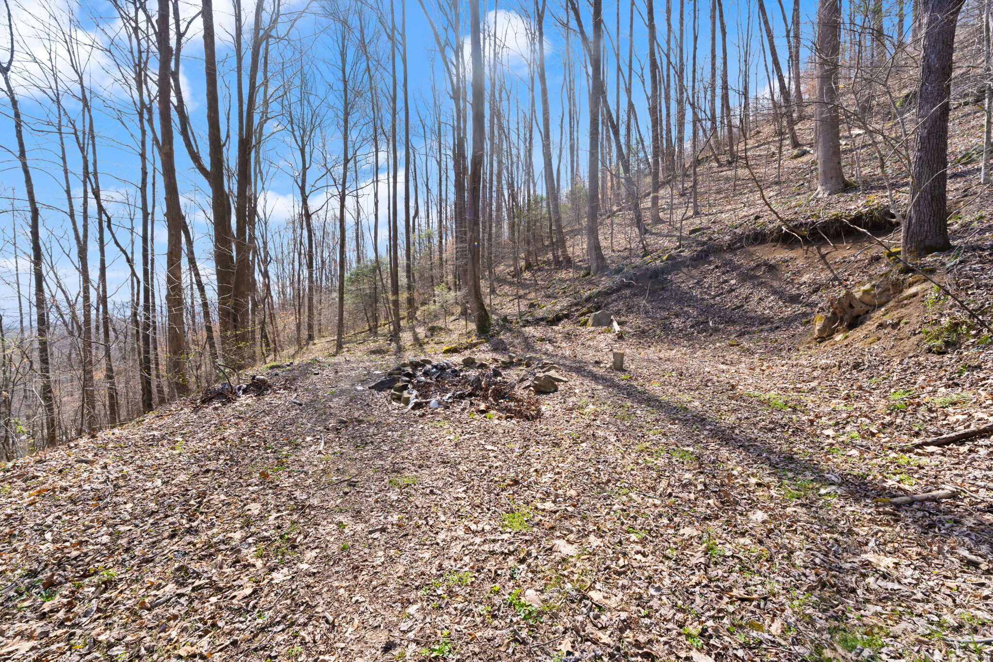 1197 Beans Fork Road Property Photo 11