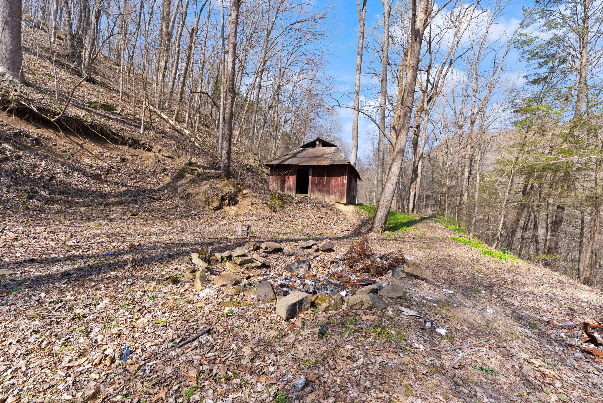 1197 Beans Fork Road Property Photo 12