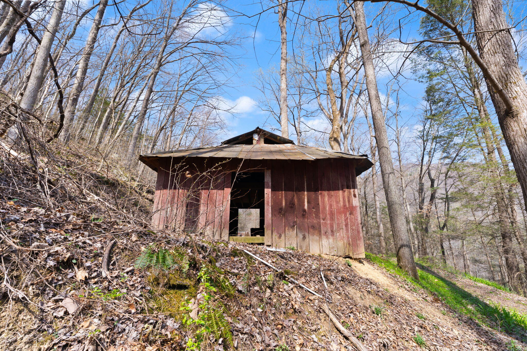 1197 Beans Fork Road Property Photo 13