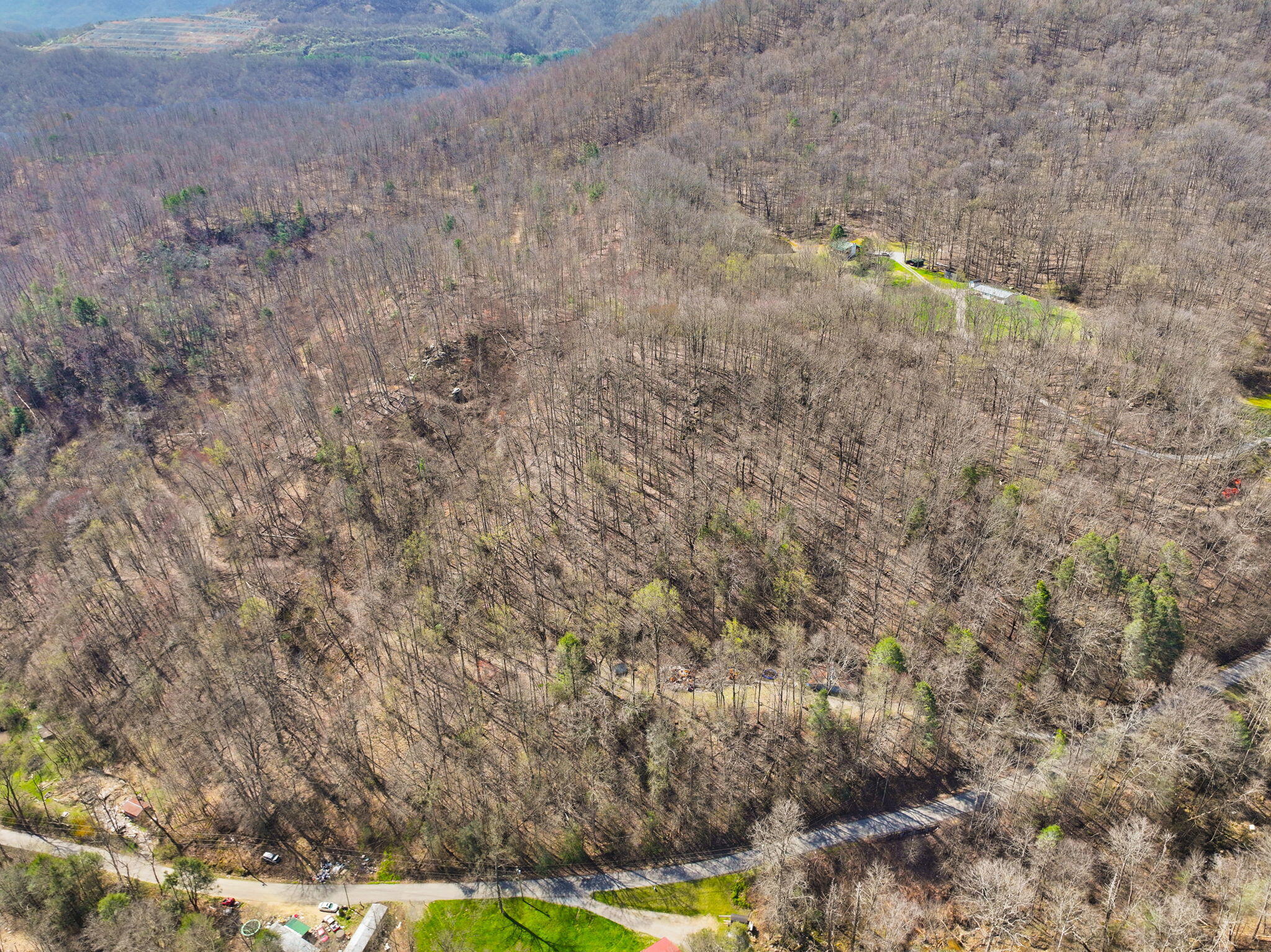 1197 Beans Fork Road Property Photo 23