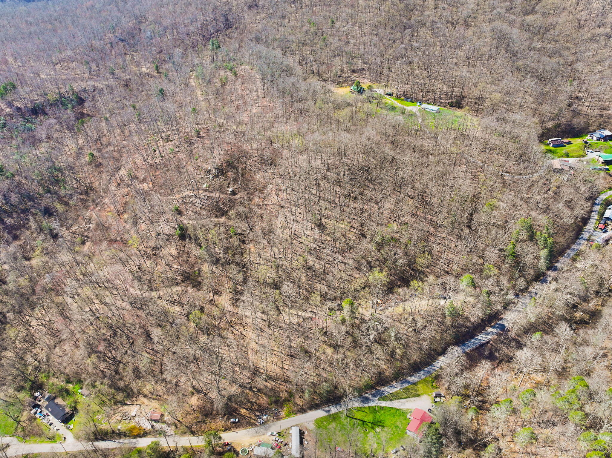 1197 Beans Fork Road Property Photo 27