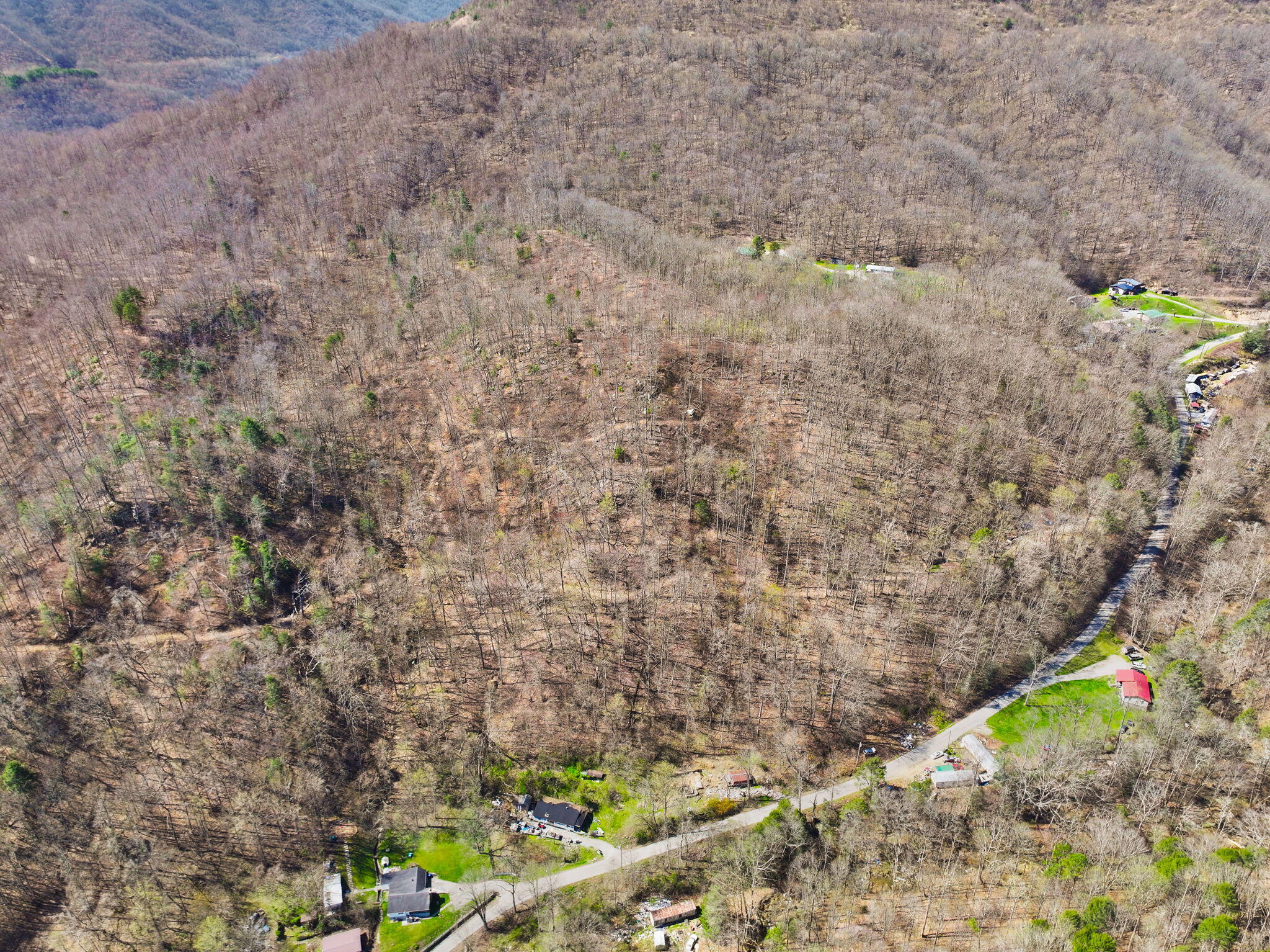 1197 Beans Fork Road Property Photo 28
