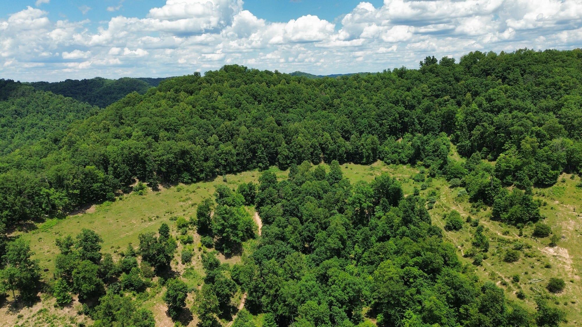3800a Butcher Hollow Rd Property Photo 3