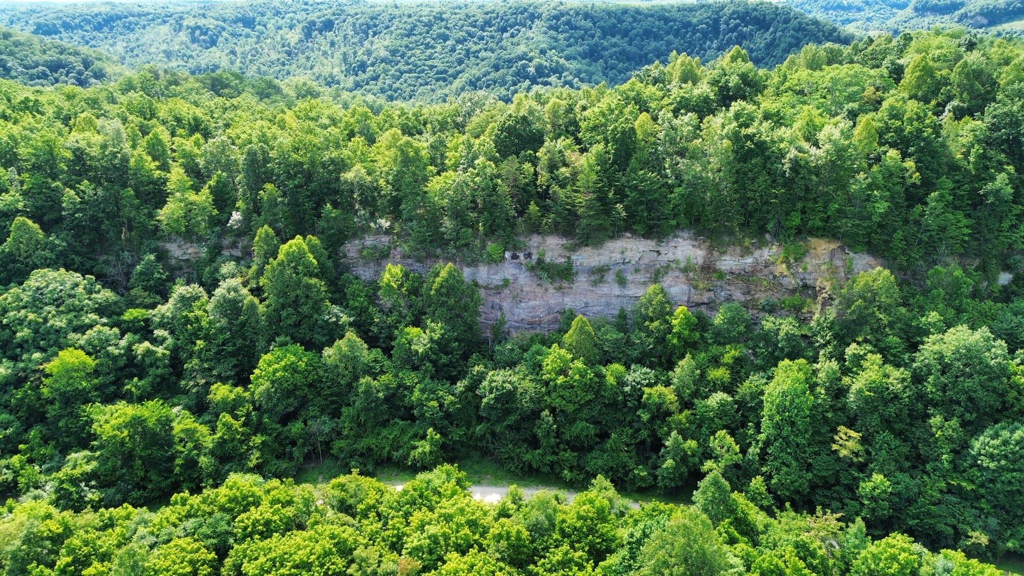 3800a Butcher Hollow Rd Property Photo 5