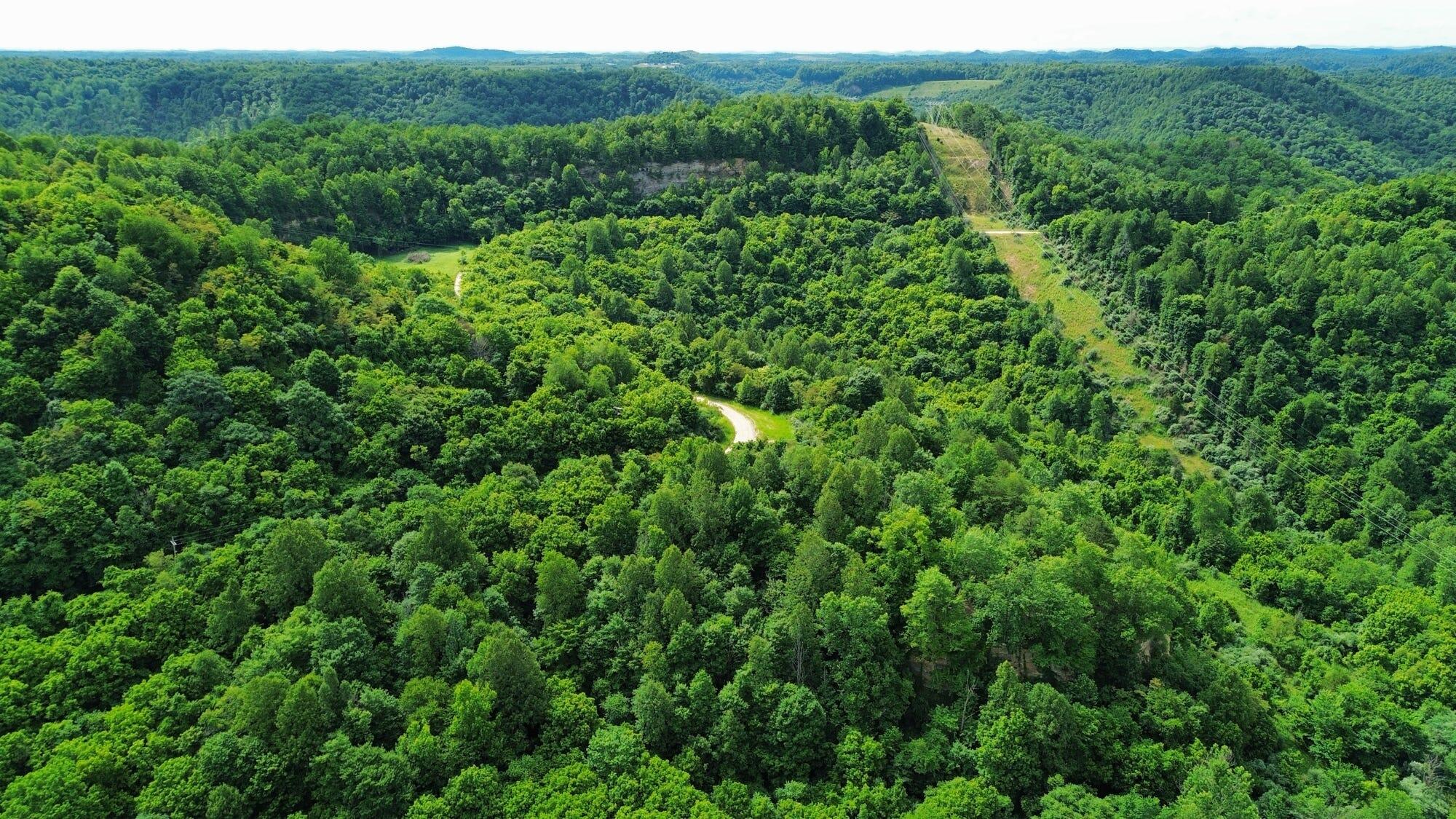 3800a Butcher Hollow Rd Property Photo 6