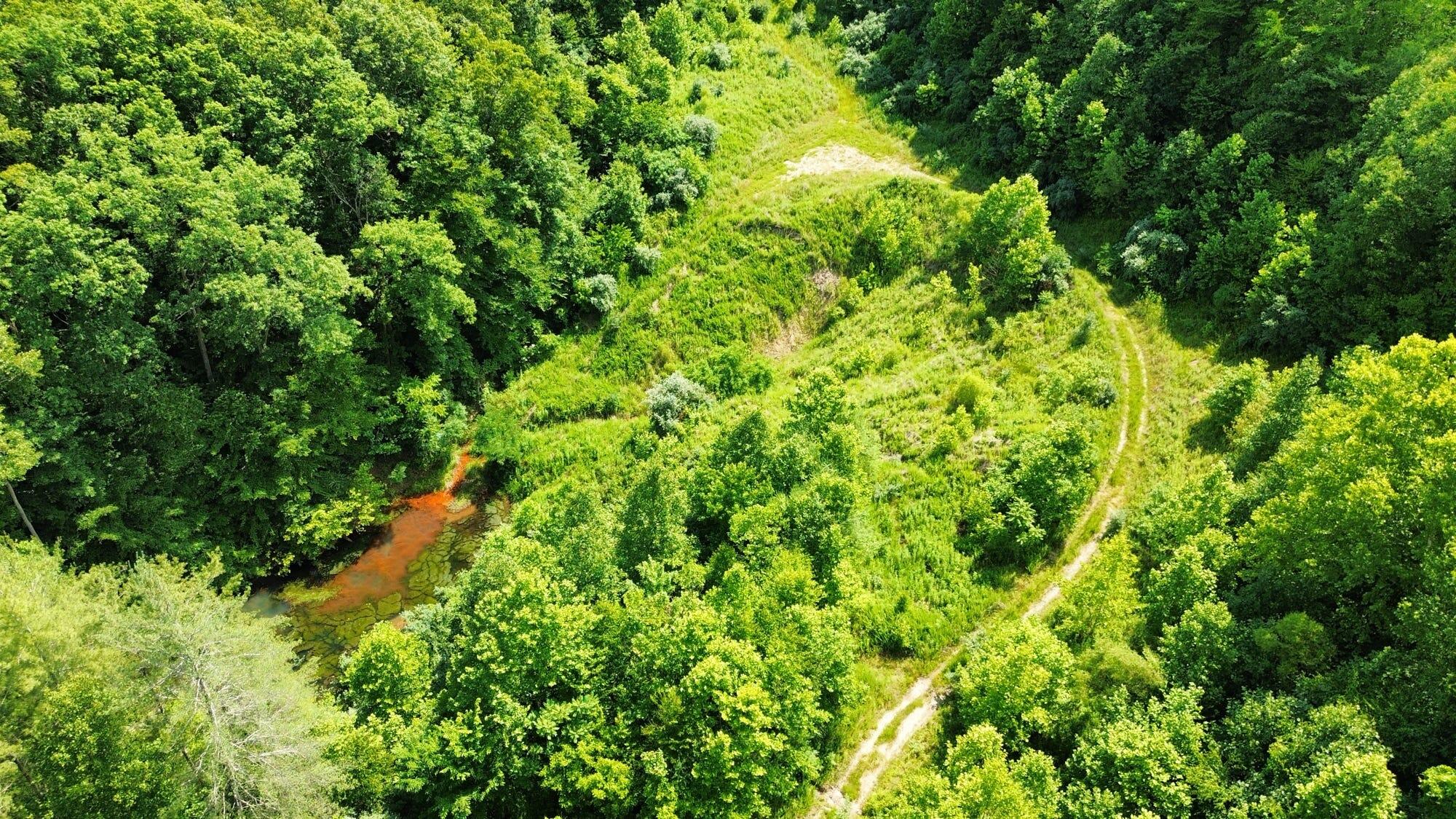 3800a Butcher Hollow Rd Property Photo 7