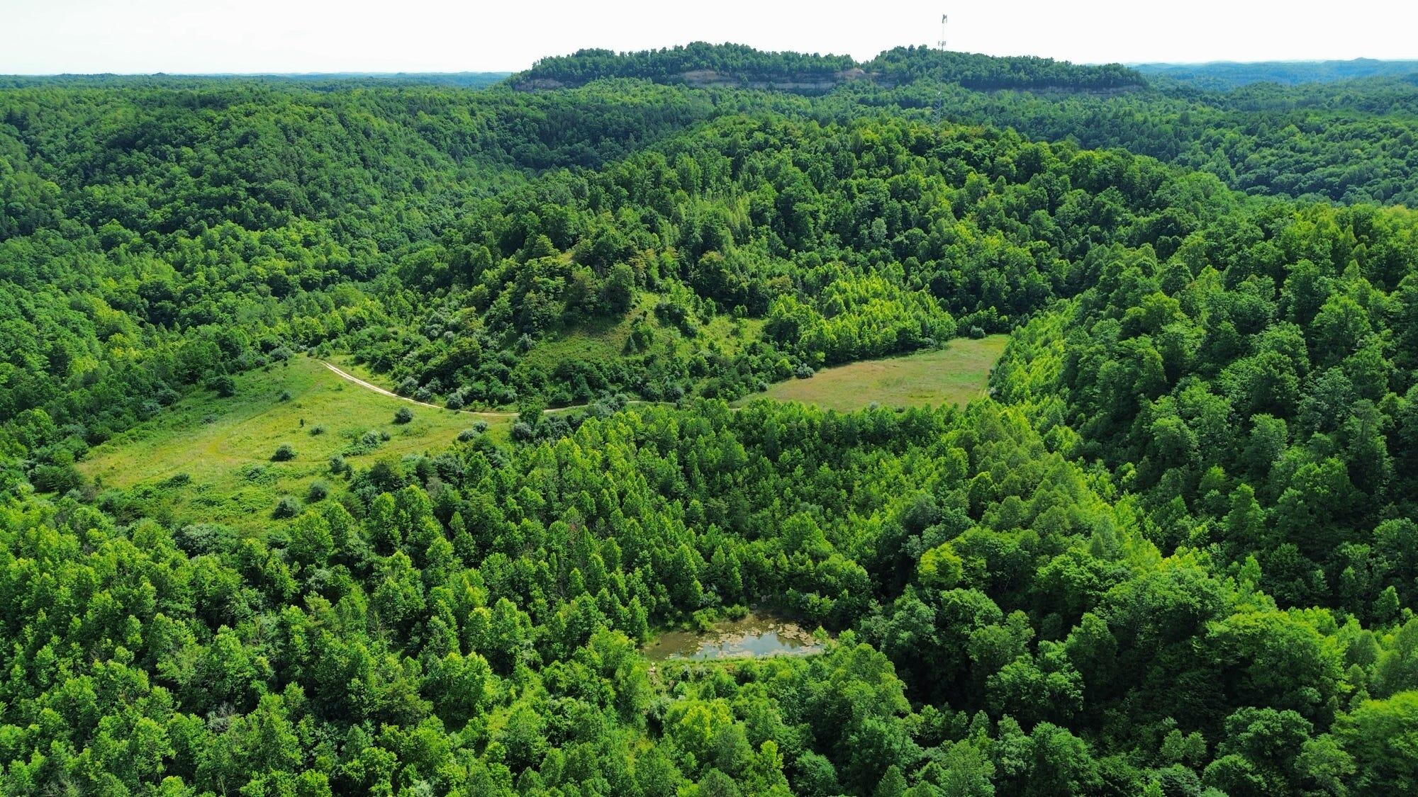 3800a Butcher Hollow Rd Property Photo 11