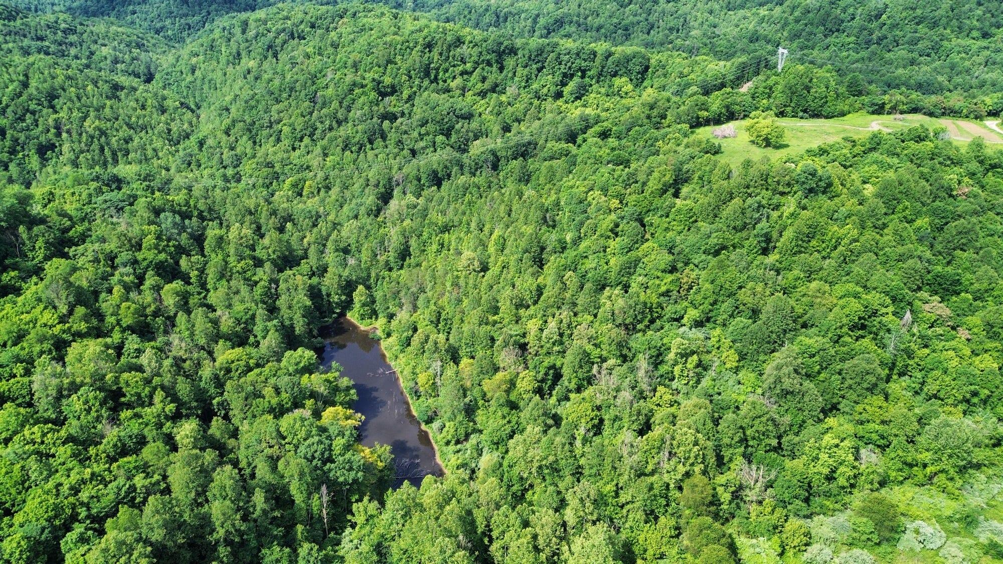 3800a Butcher Hollow Rd Property Photo 12