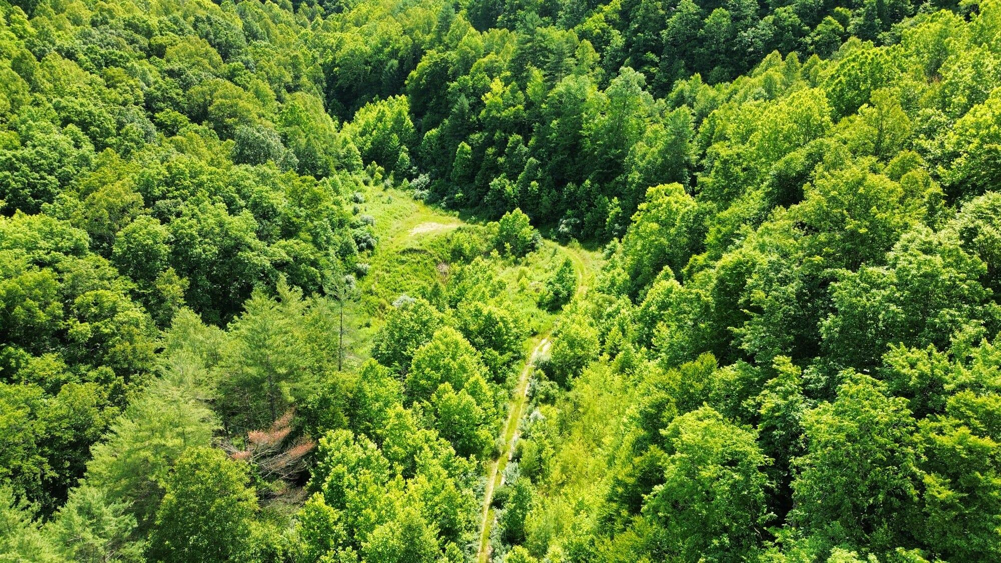 3800a Butcher Hollow Rd Property Photo 15