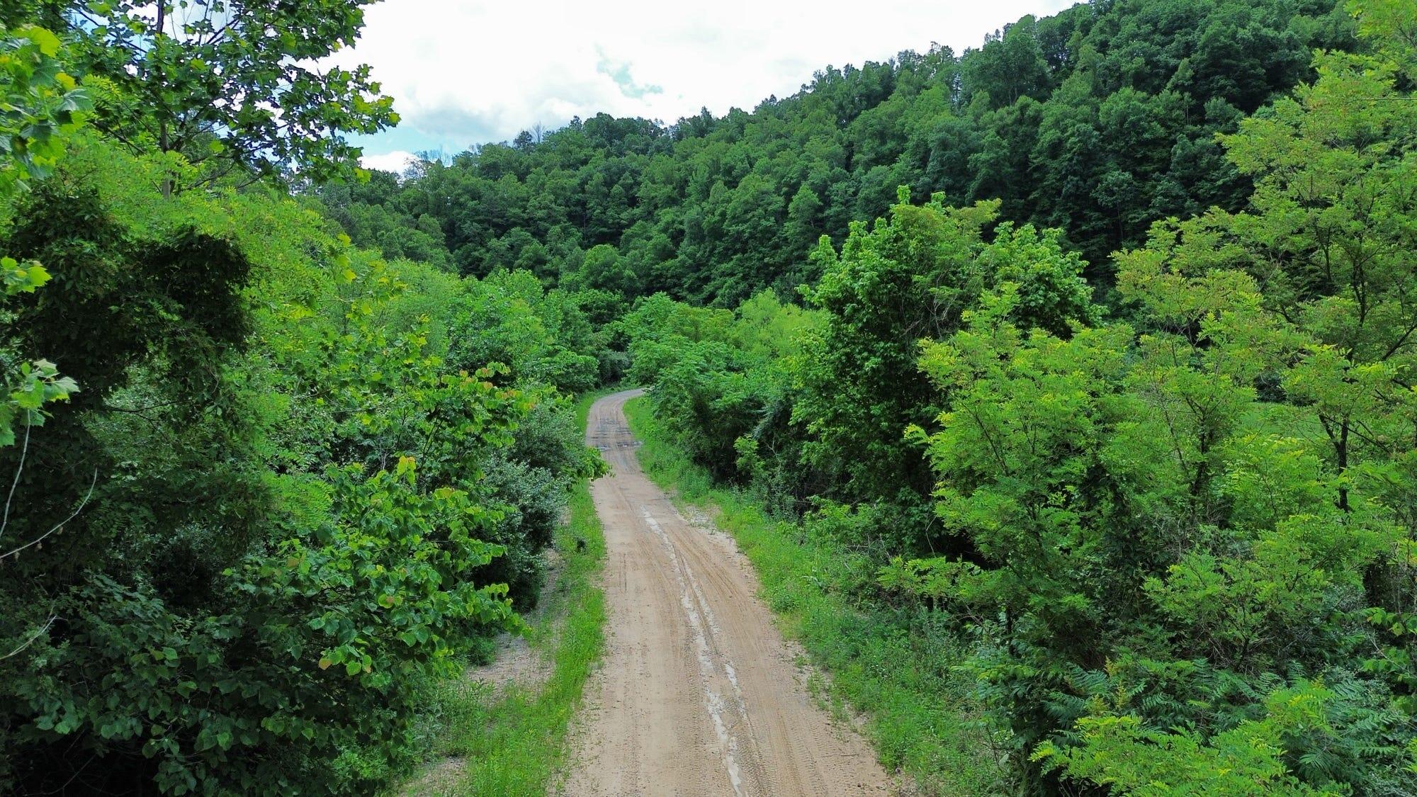 3800a Butcher Hollow Rd Property Photo 17