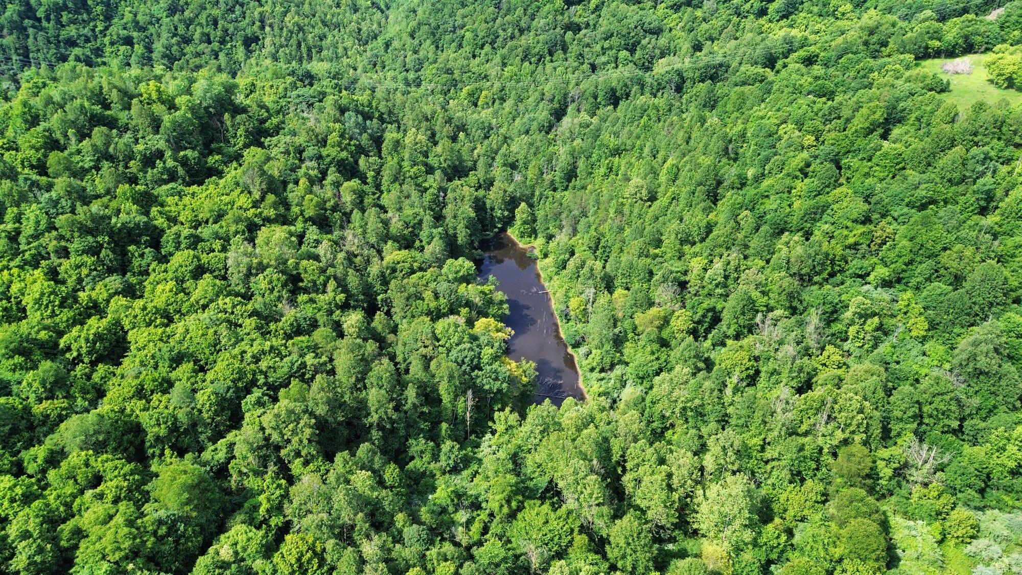 3800a Butcher Hollow Rd Property Photo 19