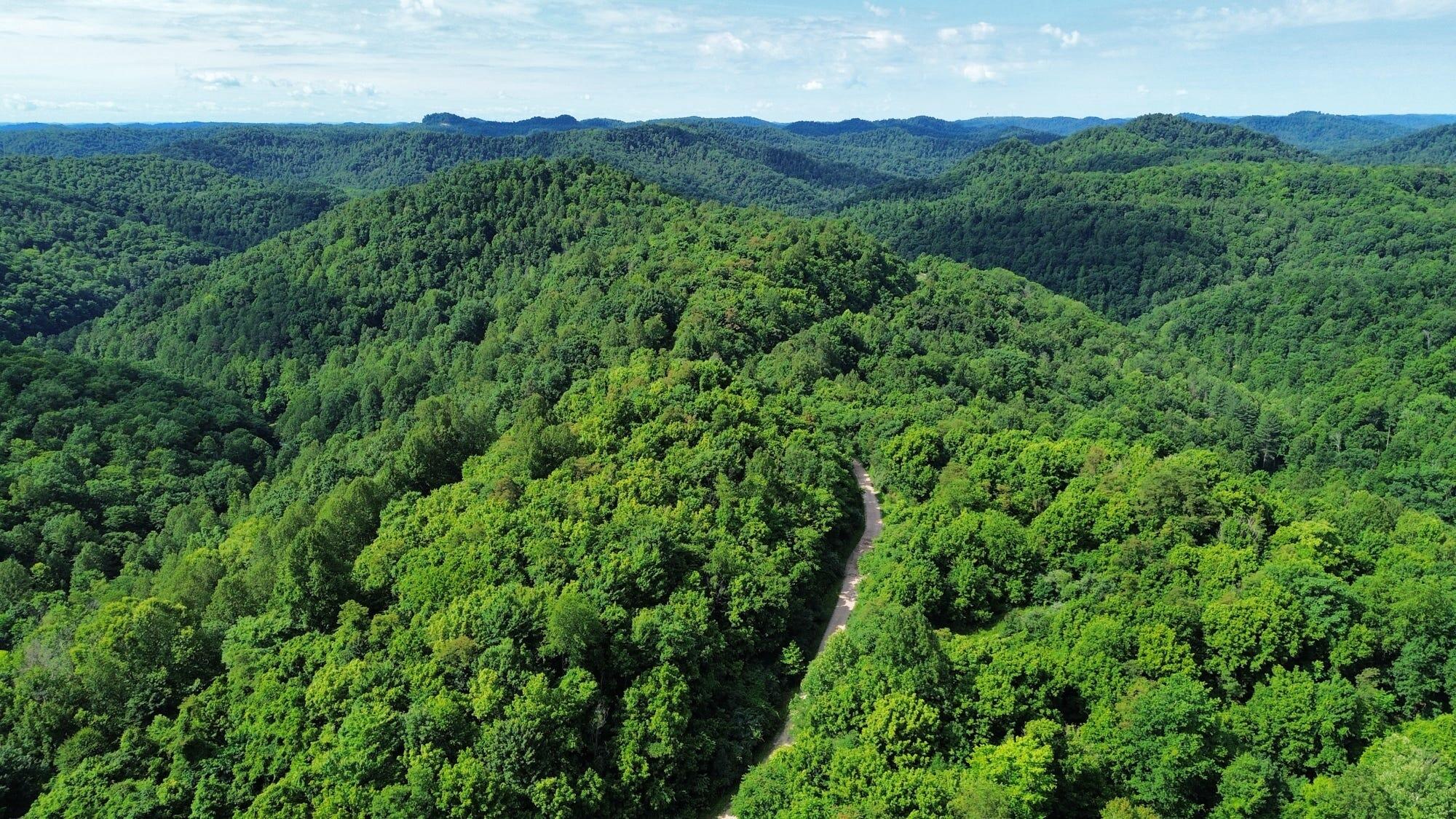 3800a Butcher Hollow Rd Property Photo 21