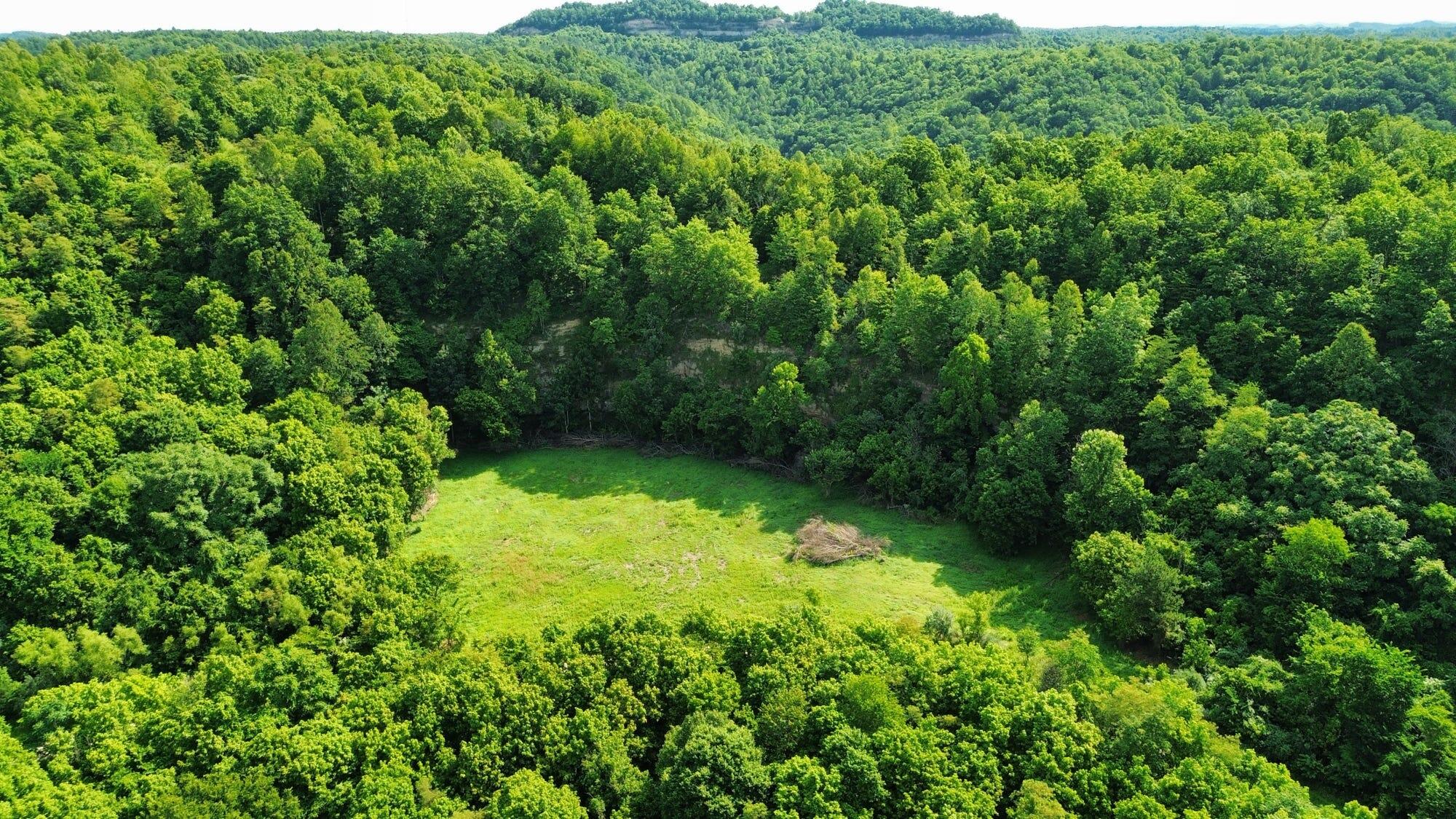 3800a Butcher Hollow Rd Property Photo 24