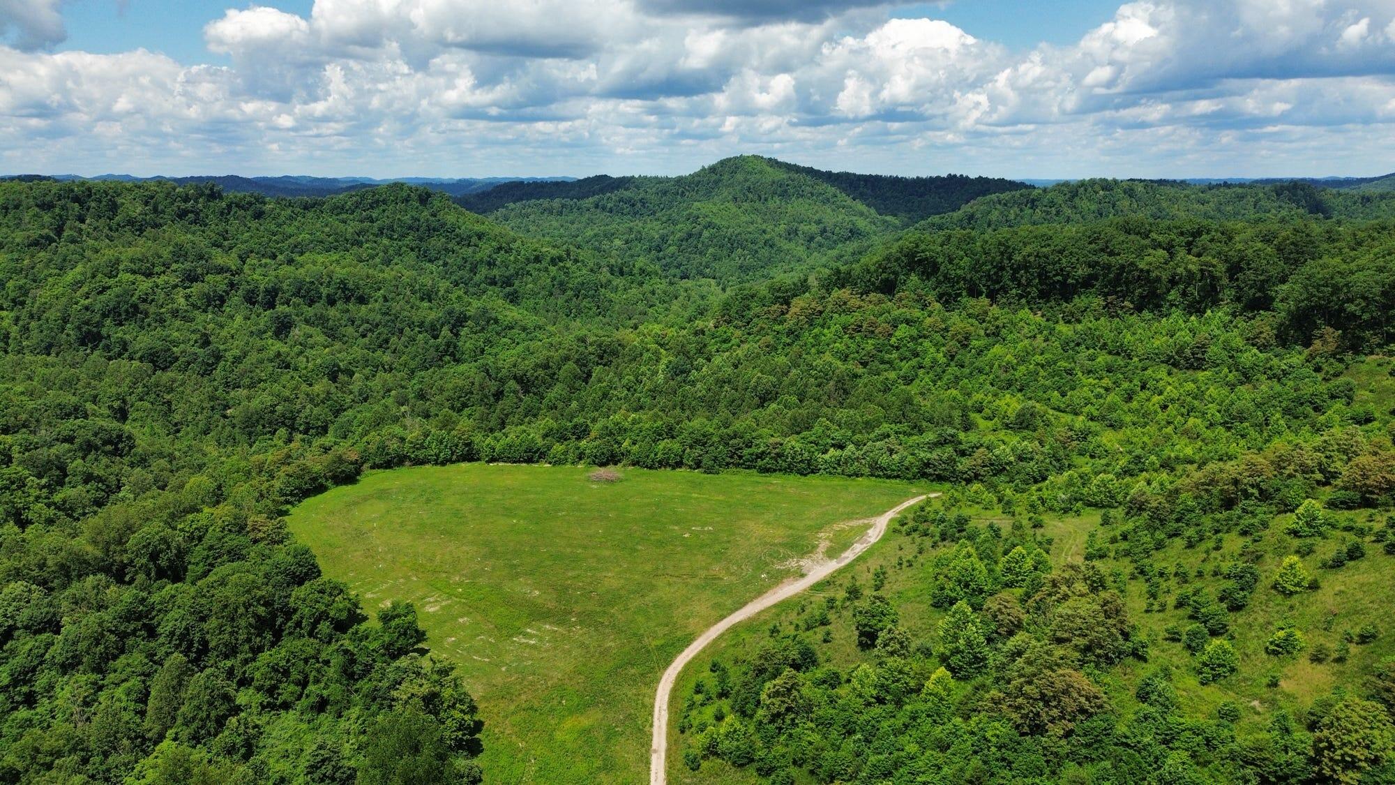 3800a Butcher Hollow Rd Property Photo 25