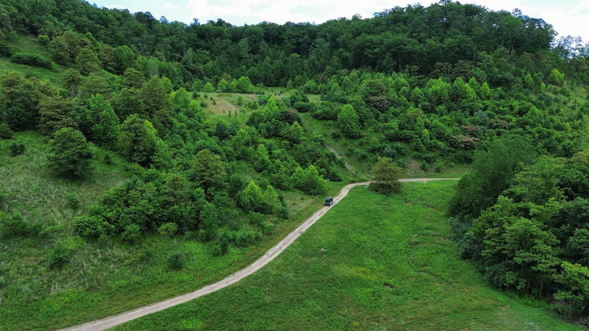 3800a Butcher Hollow Rd Property Photo 26