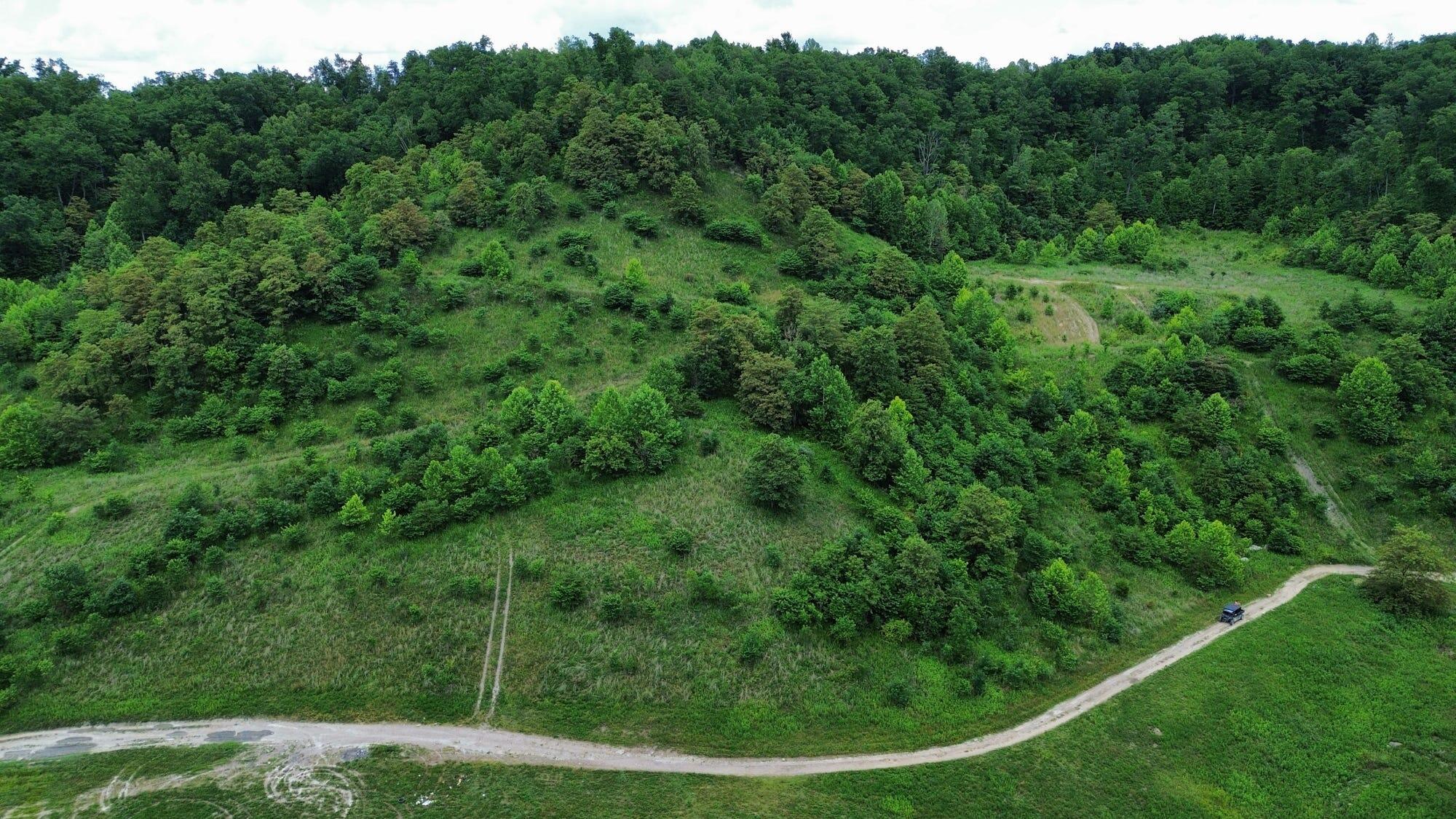 3800a Butcher Hollow Rd Property Photo 27