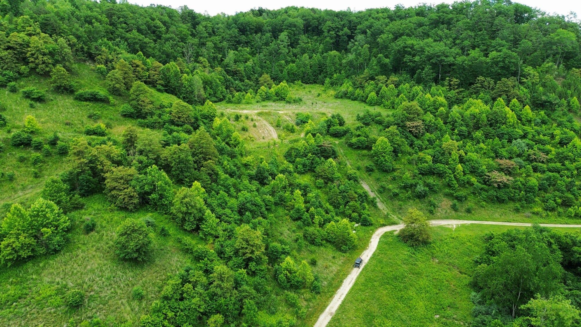 3800a Butcher Hollow Rd Property Photo 28