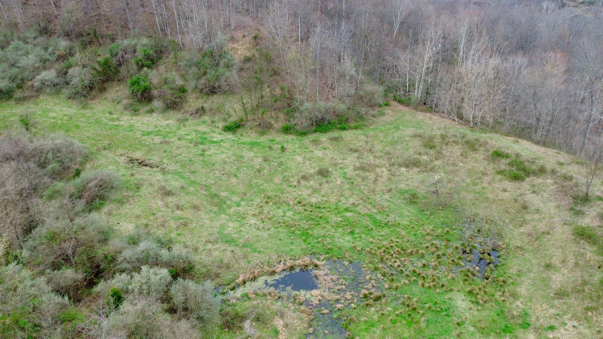 3800a Butcher Hollow Rd Property Photo 30